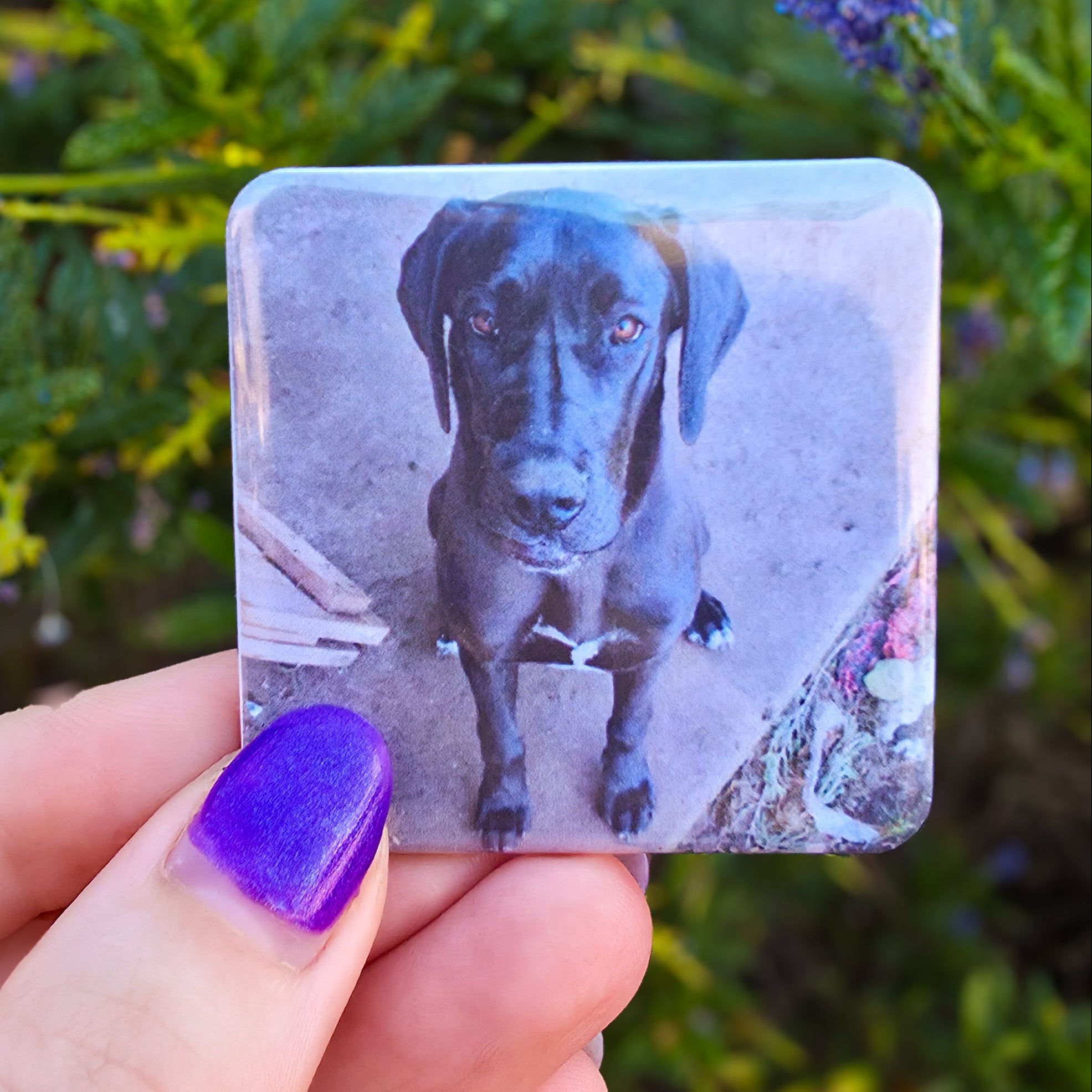 12x Custom Photo Magnets