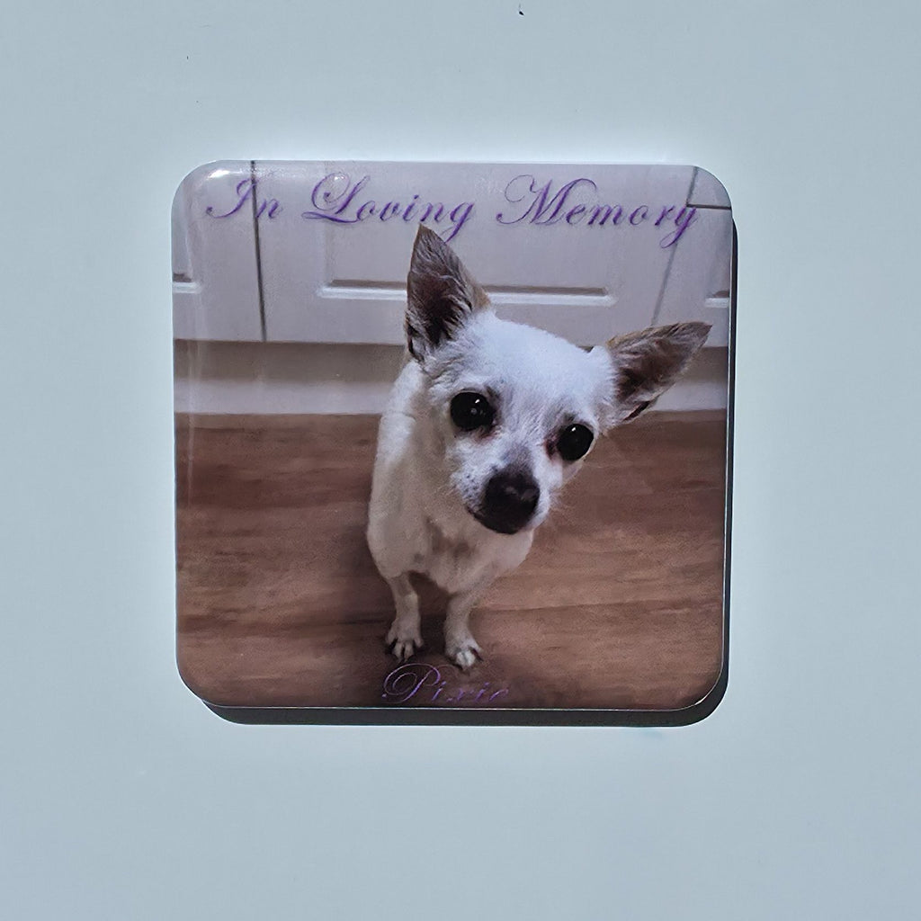 01x Custom Photo, Love Calendar & Specialty Magnets (Pet Memorial)