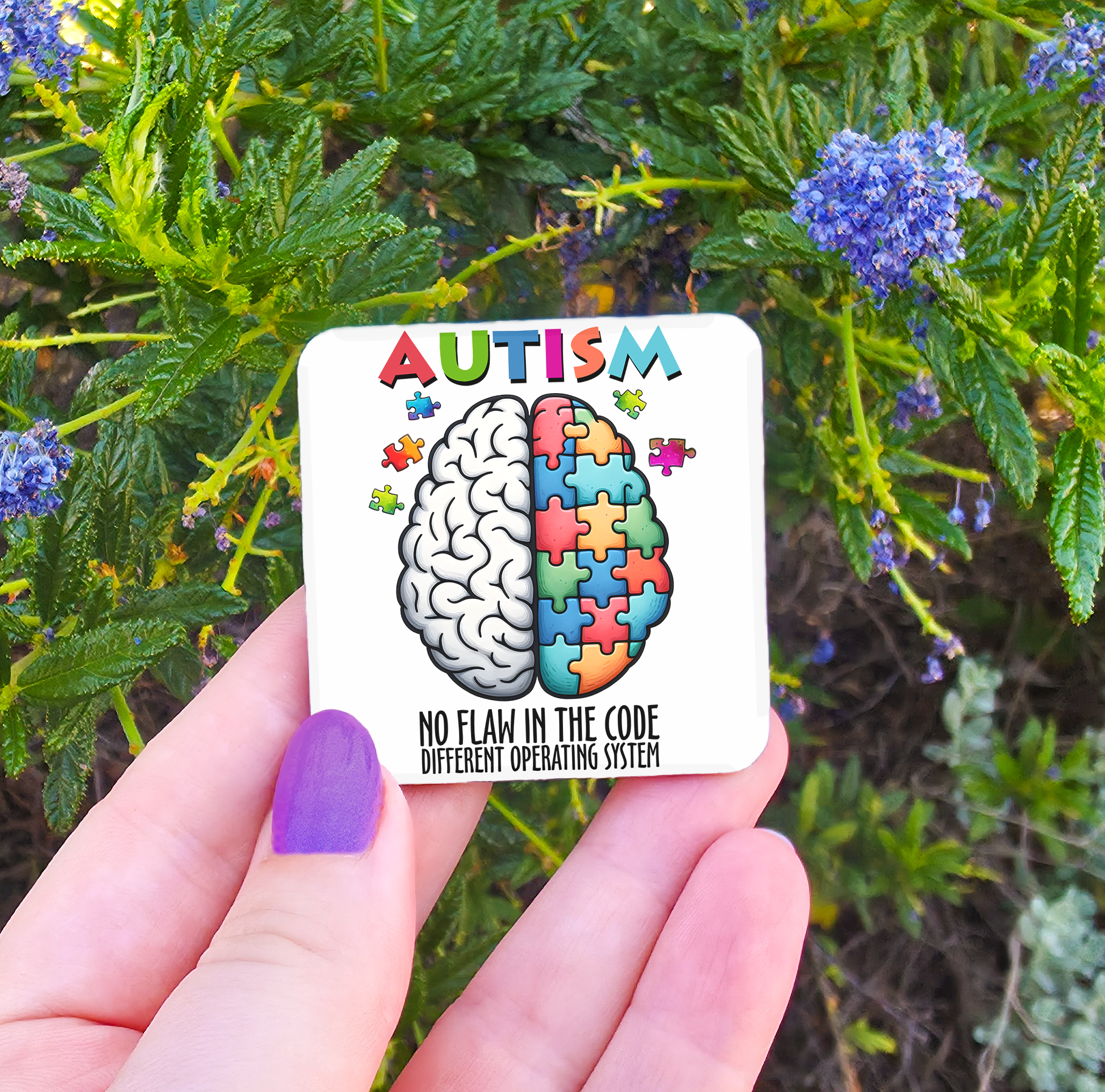 Autism Related Magnets
