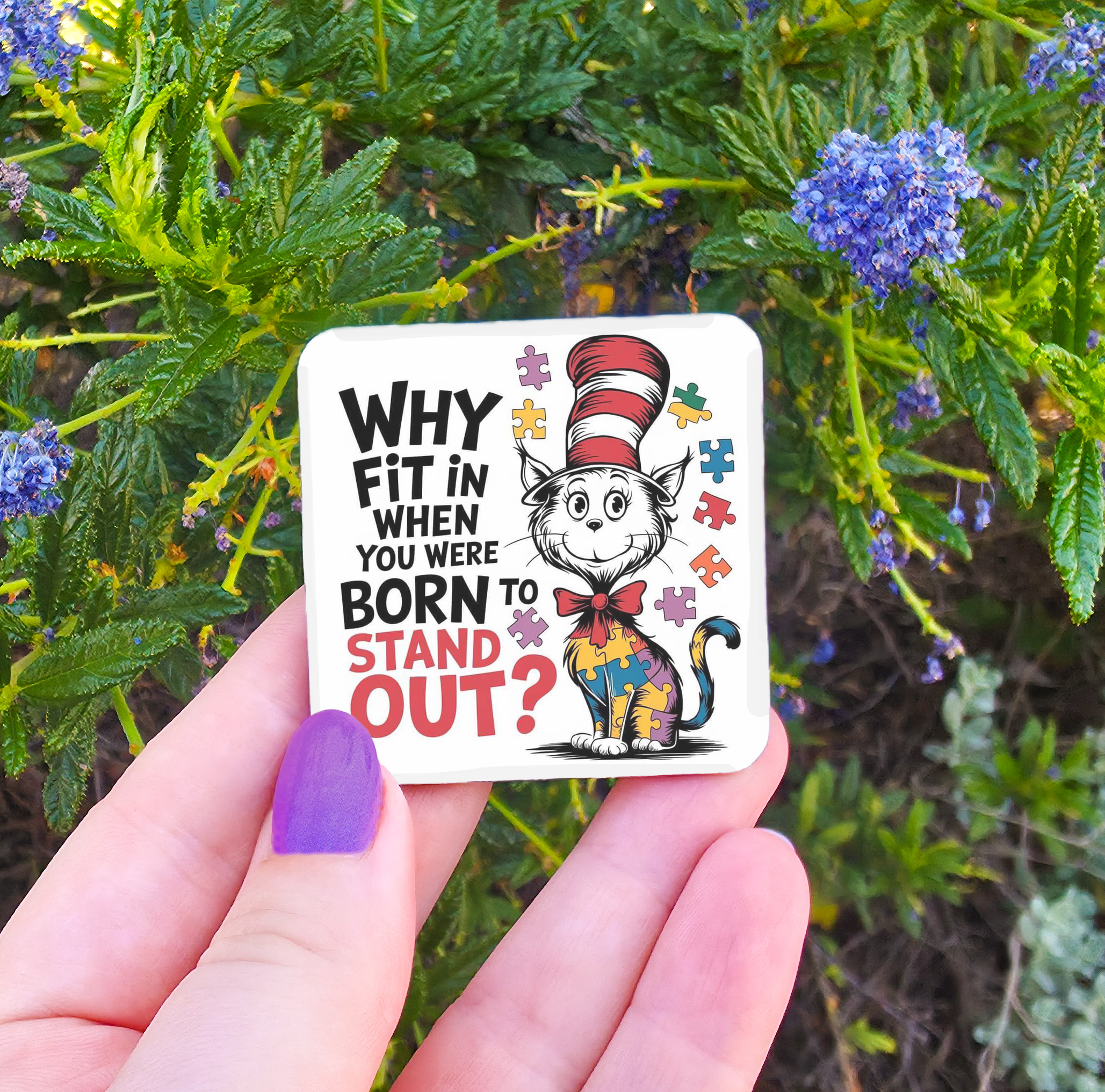 Autism Related Magnets