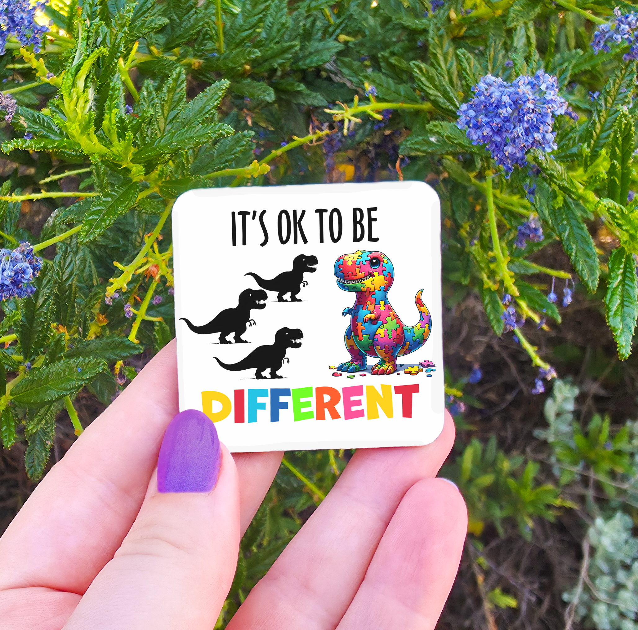 Autism Related Magnets