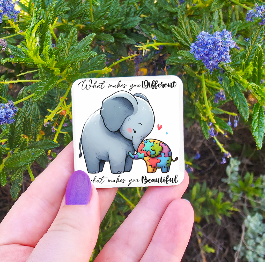 Autism Related Magnets