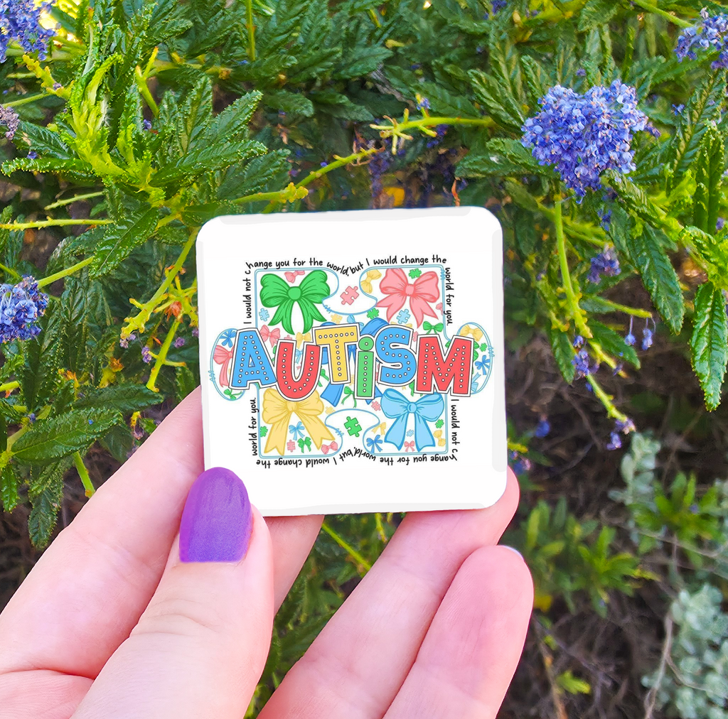 Autism Related Magnets