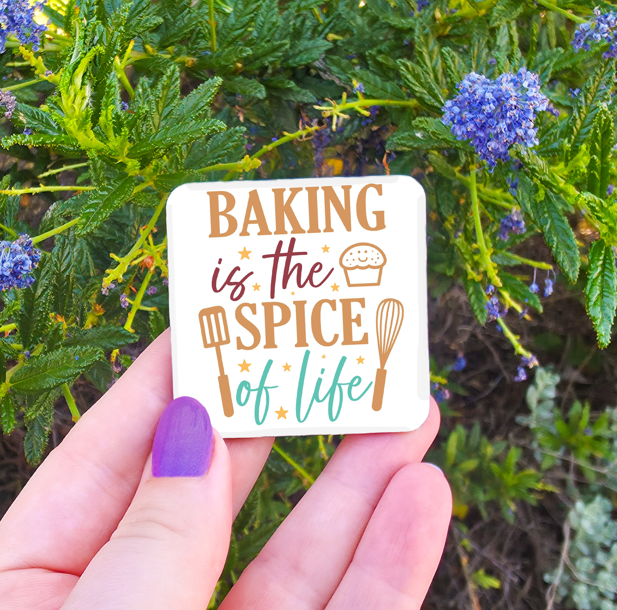 Kitchen/Food Related Magnets