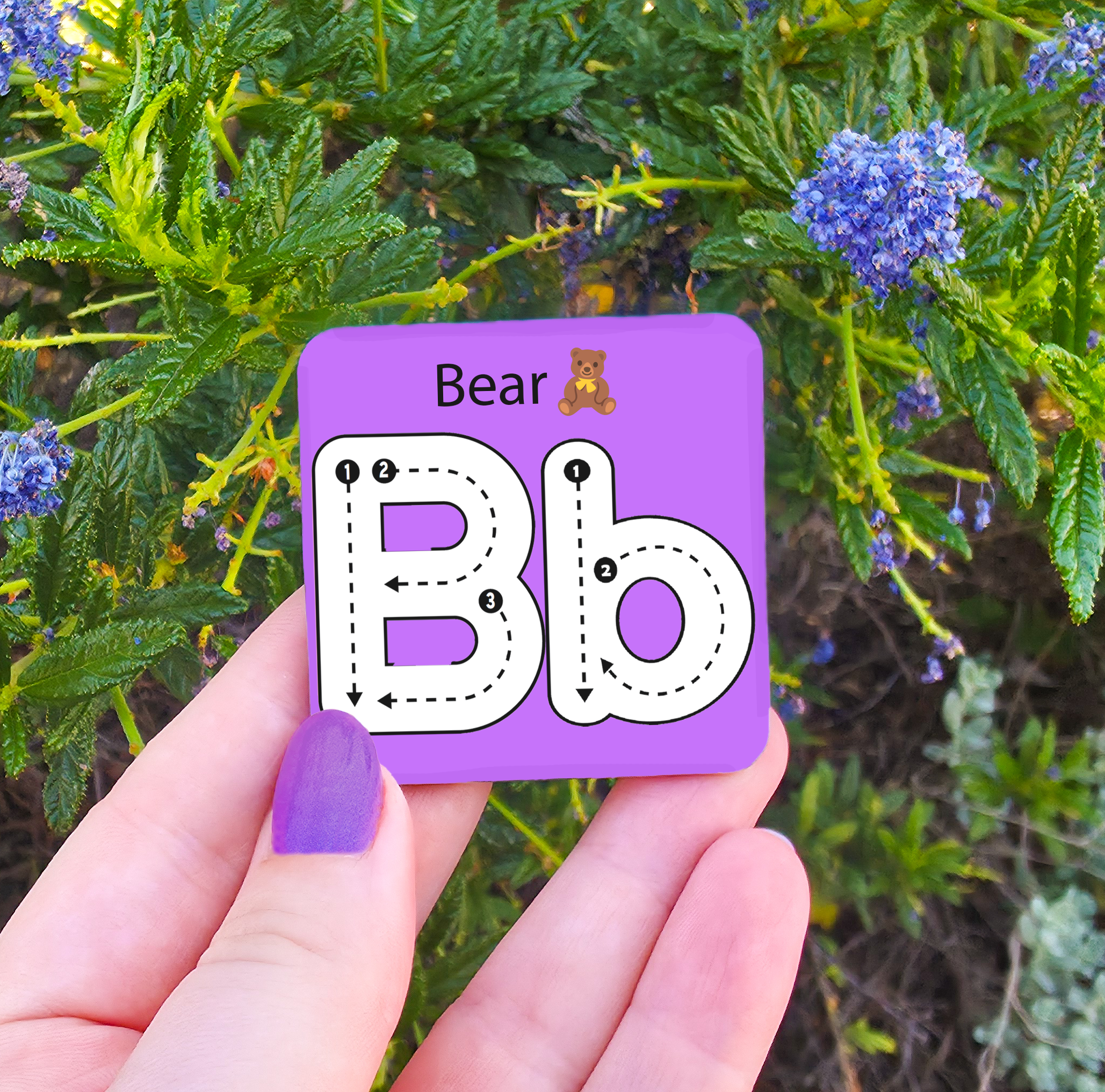 Learn to Write - Alphabet & Numbers