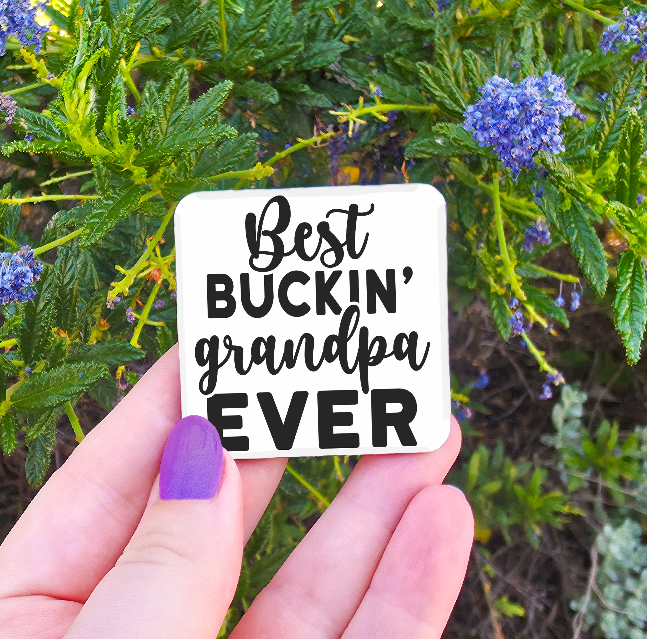 Male Titles (Brother/Uncle/Pop/Poppy/Grandpa etc) Related