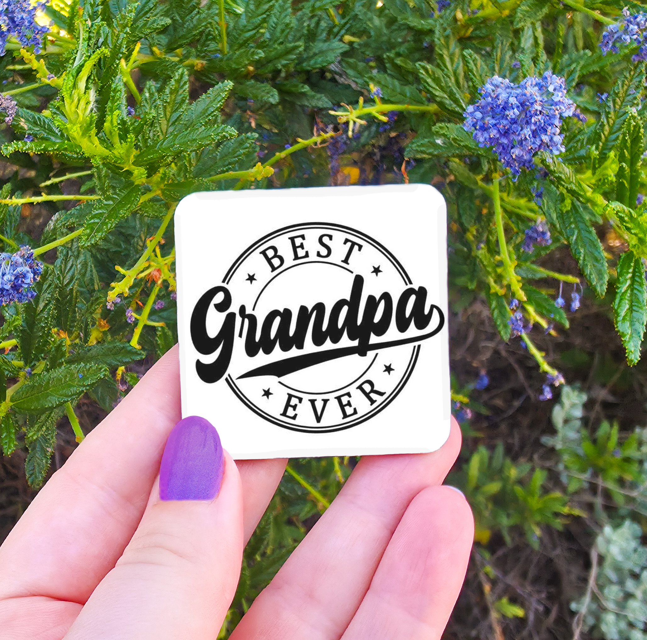 Male Titles (Brother/Uncle/Pop/Poppy/Grandpa etc) Related