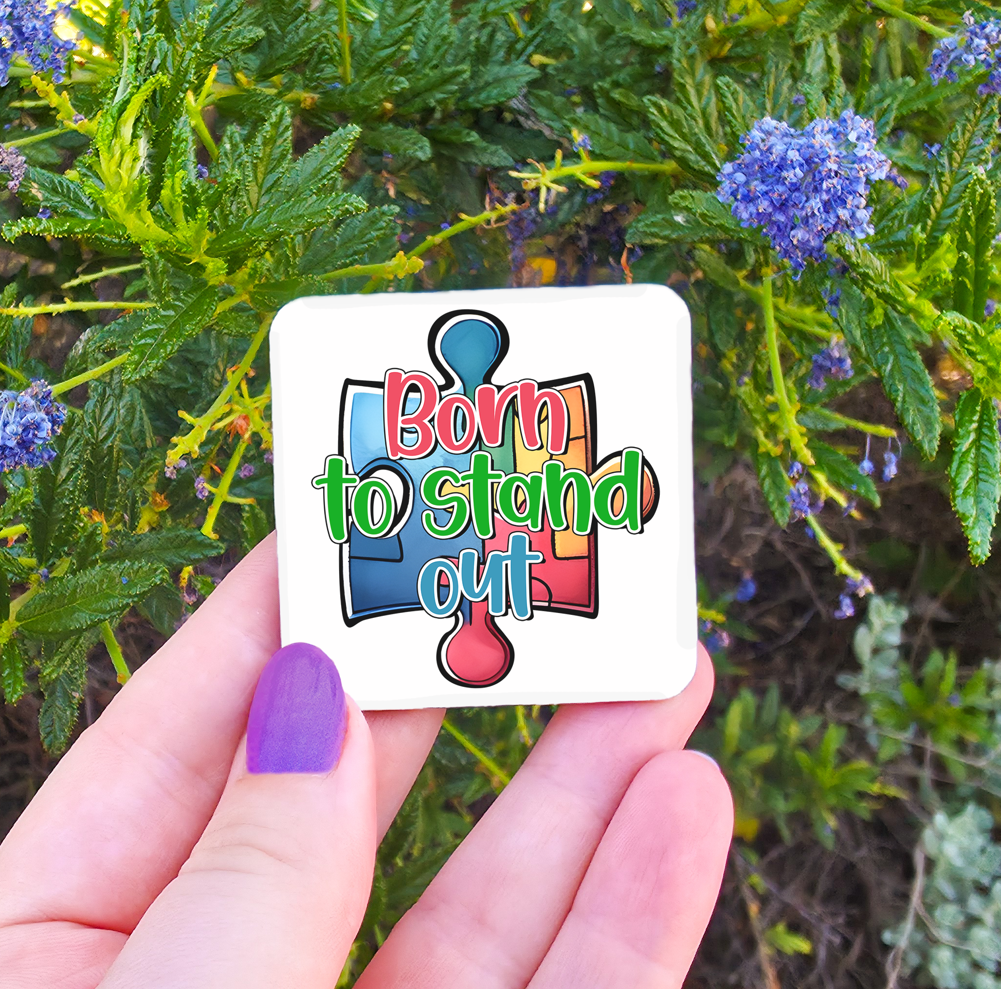 Autism Related Magnets