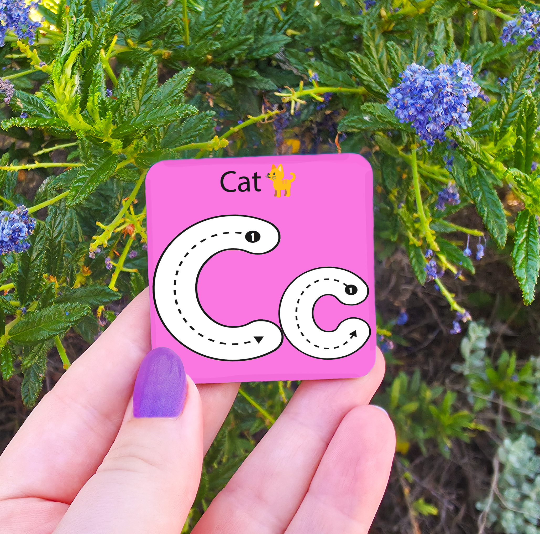 Learn to Write - Alphabet & Numbers