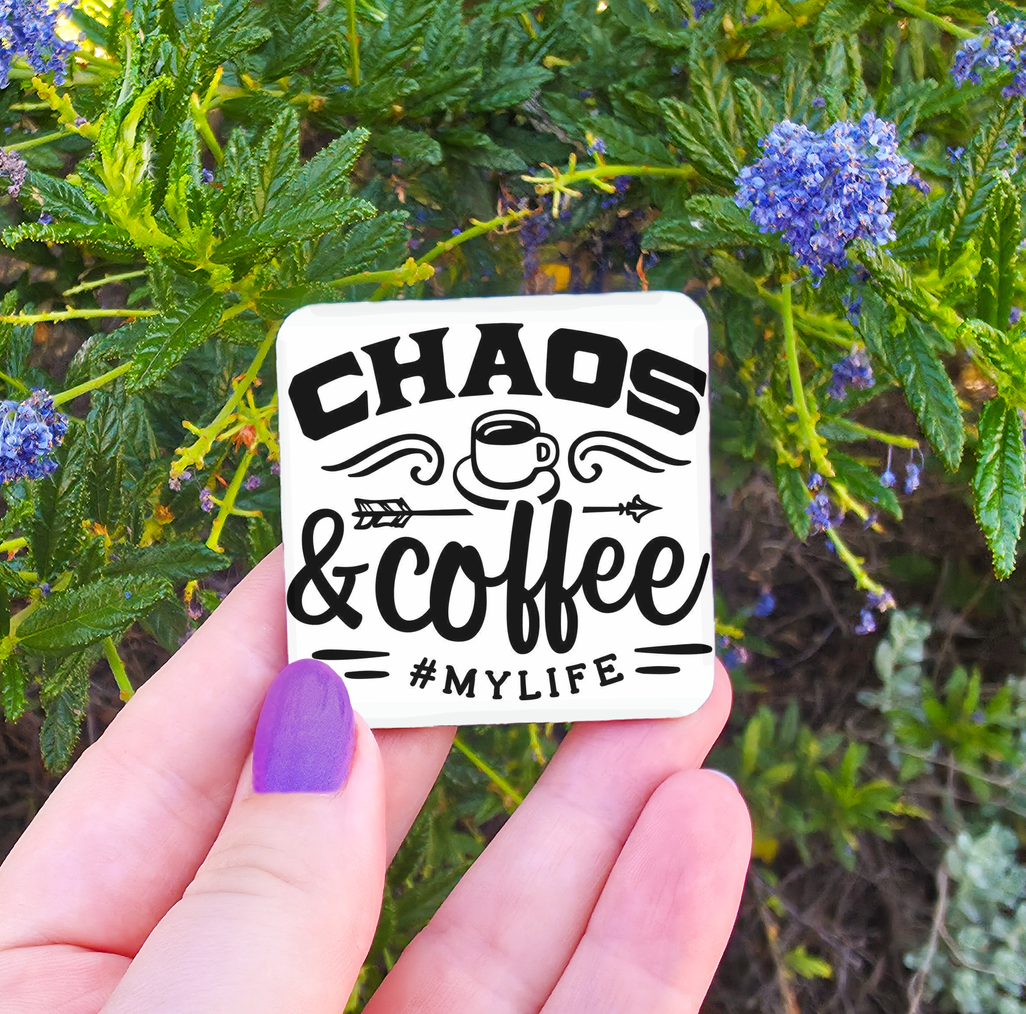 Coffee Related Magnets