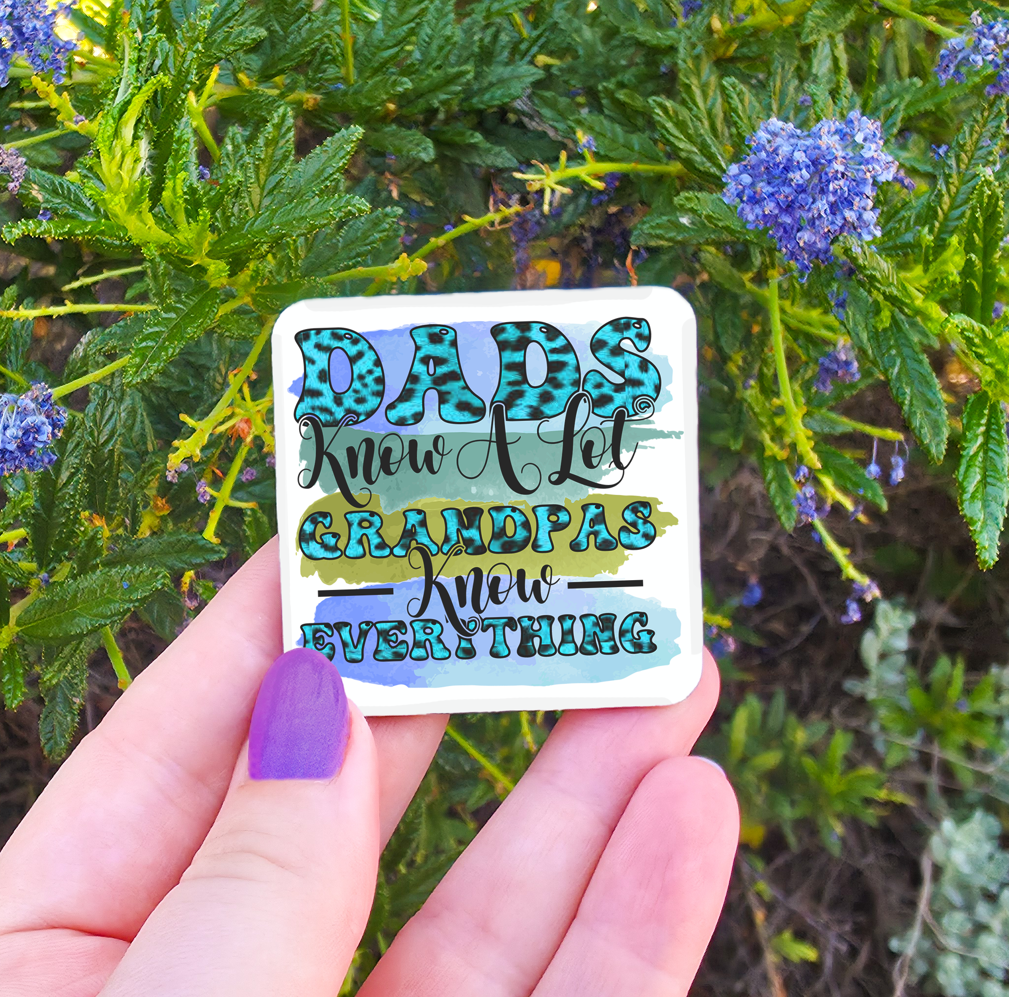 Male Titles (Brother/Uncle/Pop/Poppy/Grandpa etc) Related