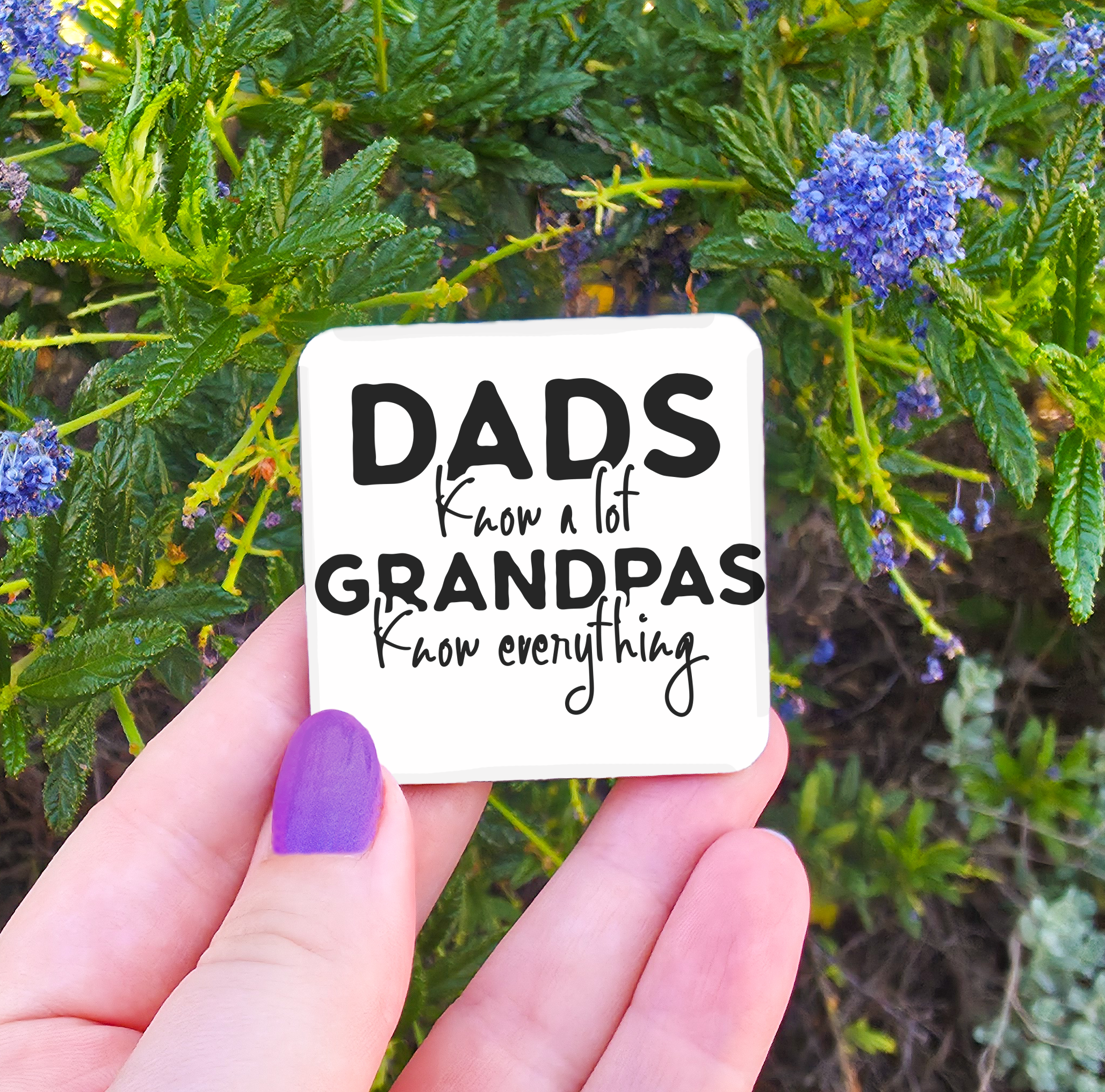 Male Titles (Brother/Uncle/Pop/Poppy/Grandpa etc) Related