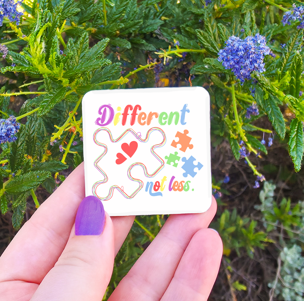 Autism Related Magnets