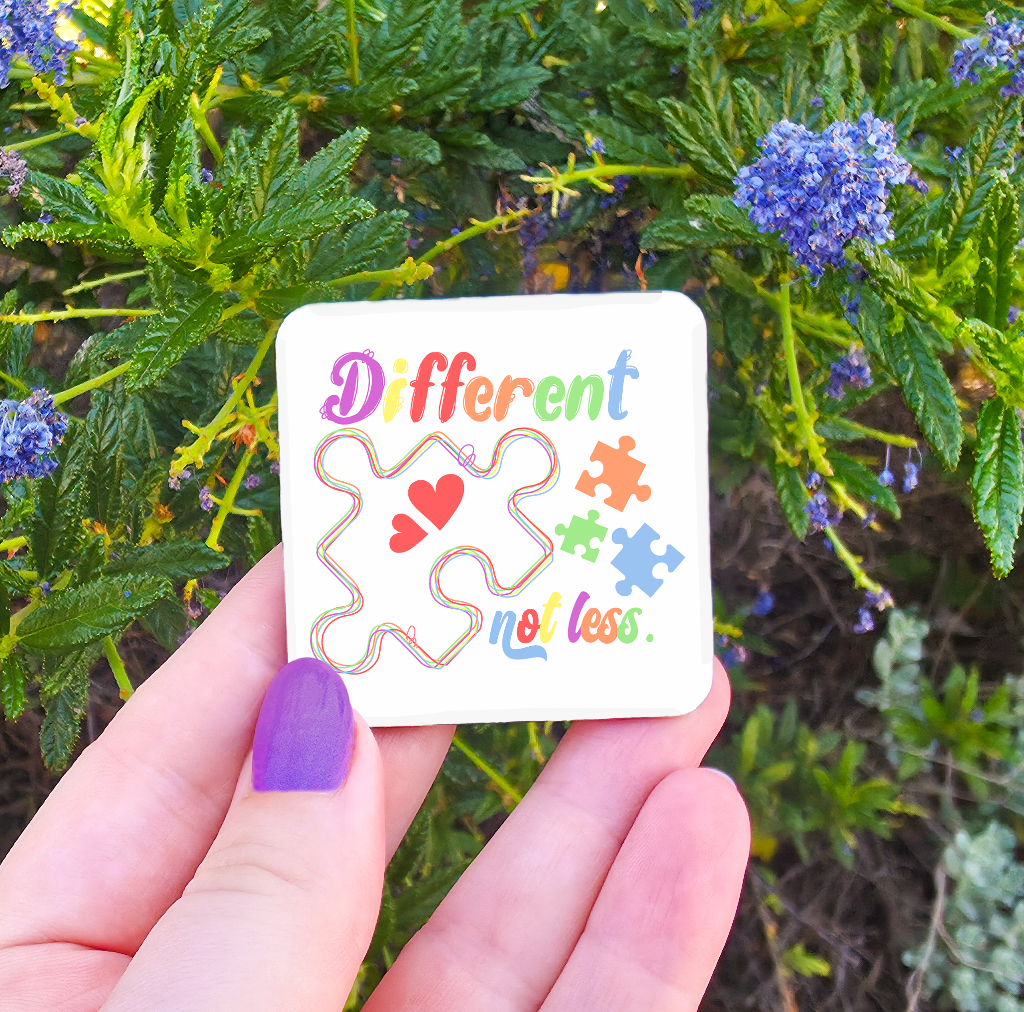 Autism Related Magnets