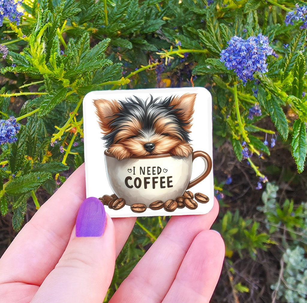 Coffee Related Magnets