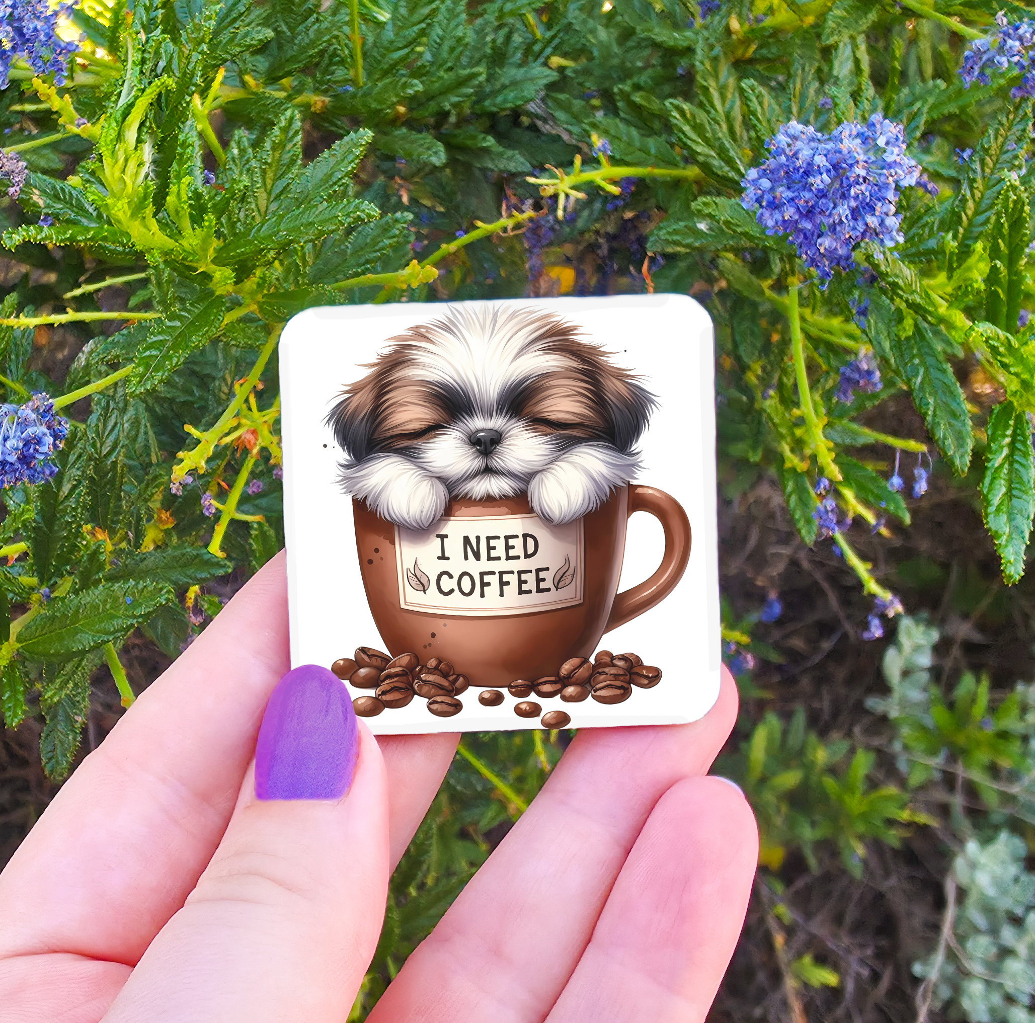 Coffee Related Magnets