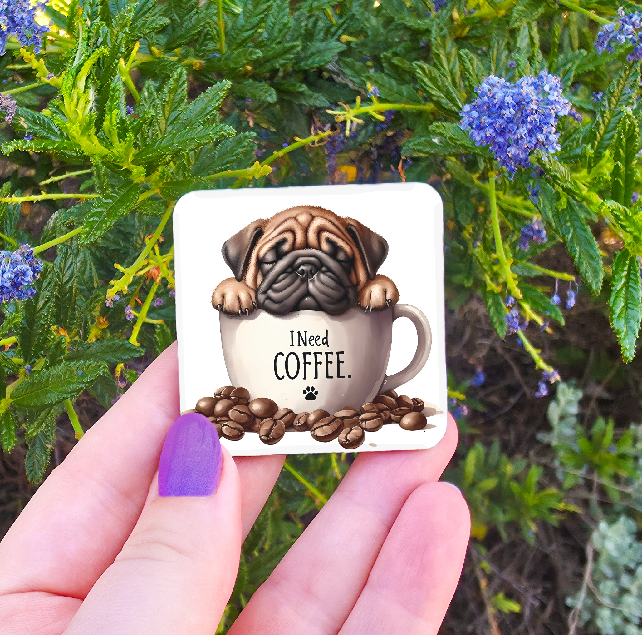 Coffee Related Magnets