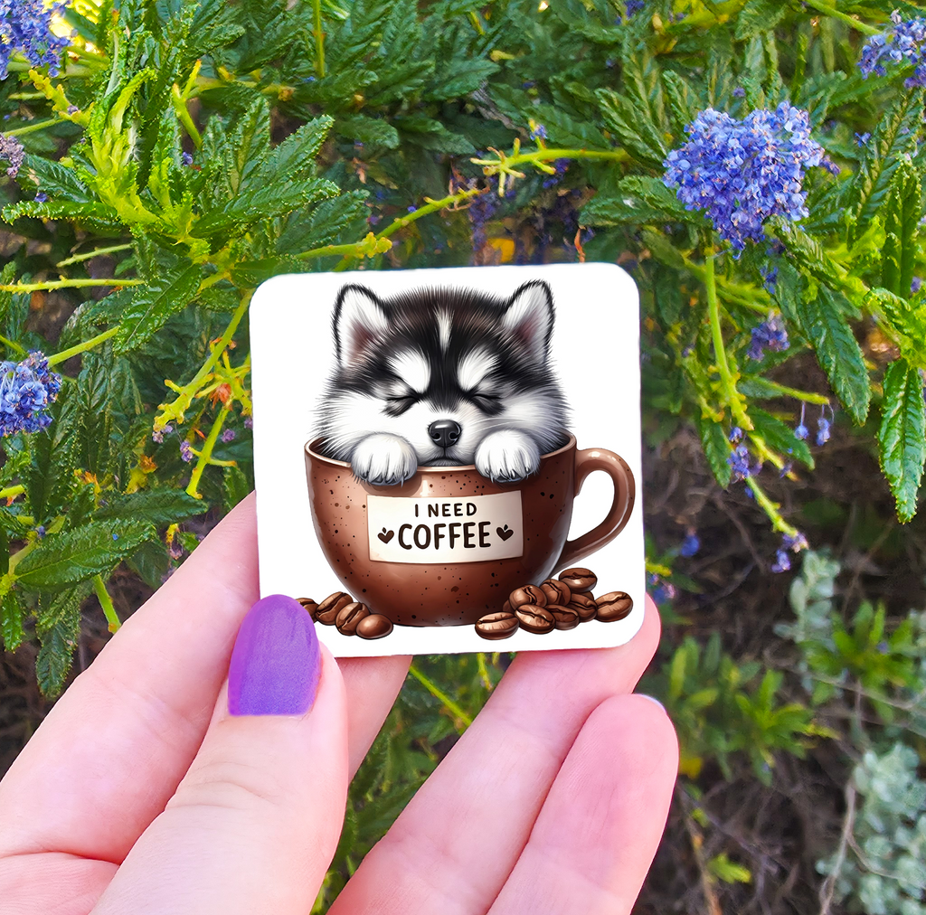 Coffee Related Magnets