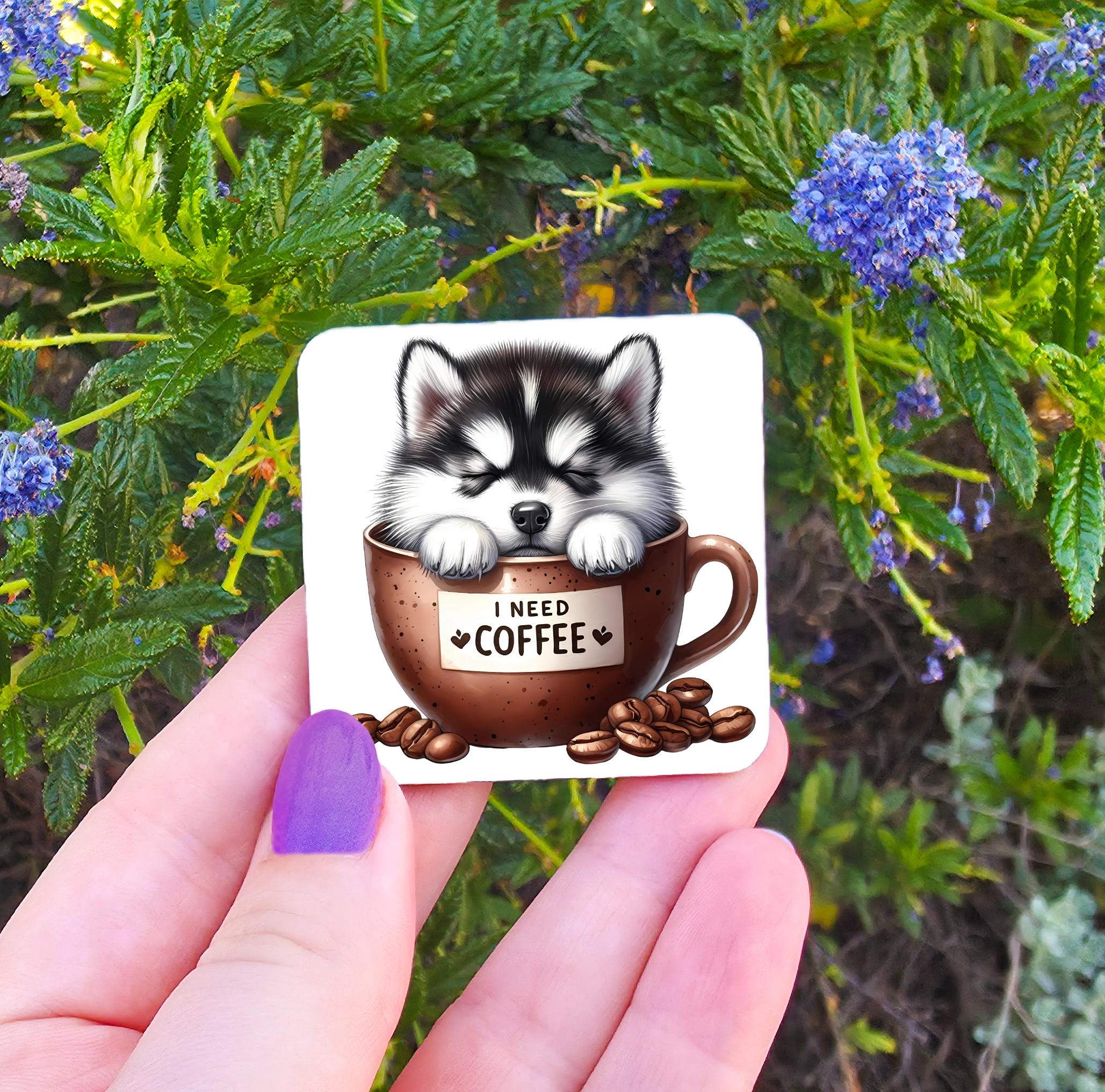 Coffee Related Magnets