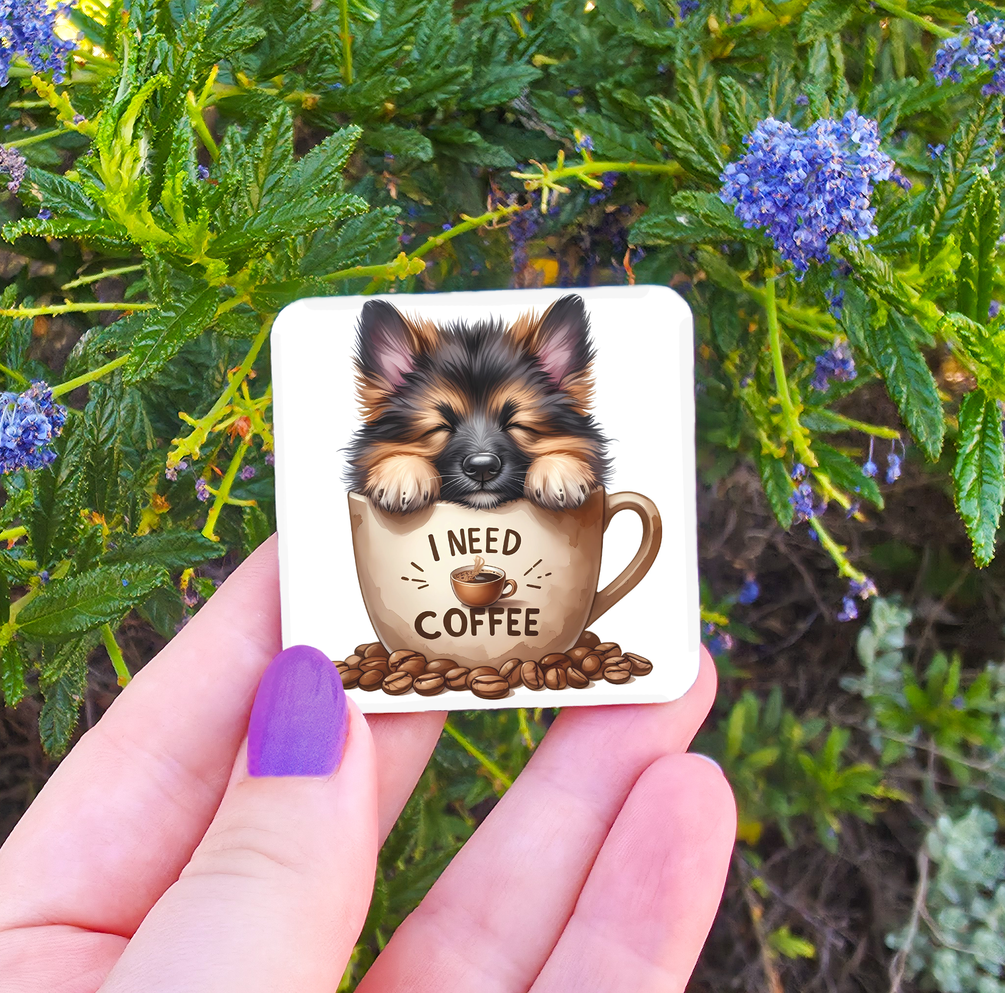 Coffee Related Magnets