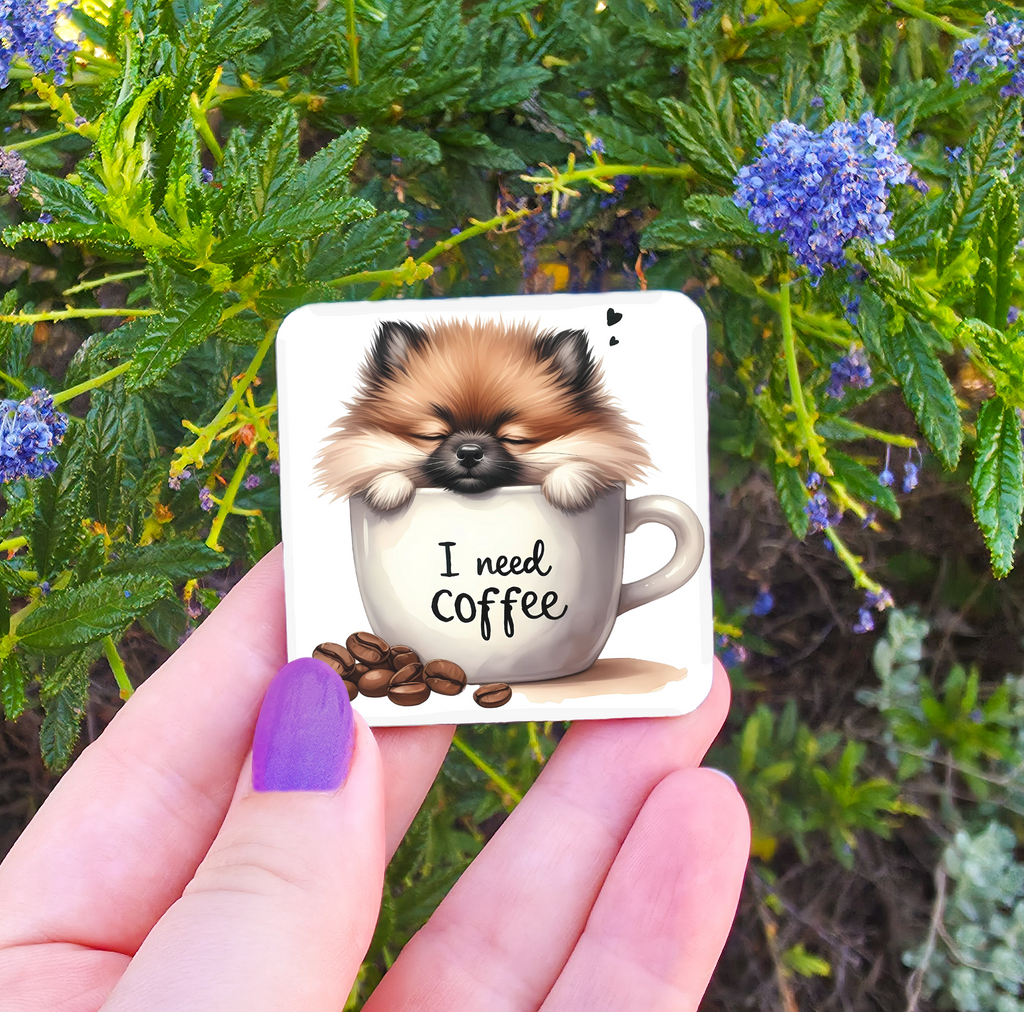 Coffee Related Magnets