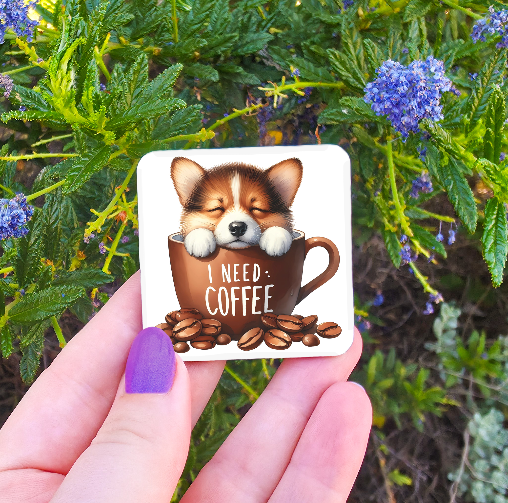 Coffee Related Magnets