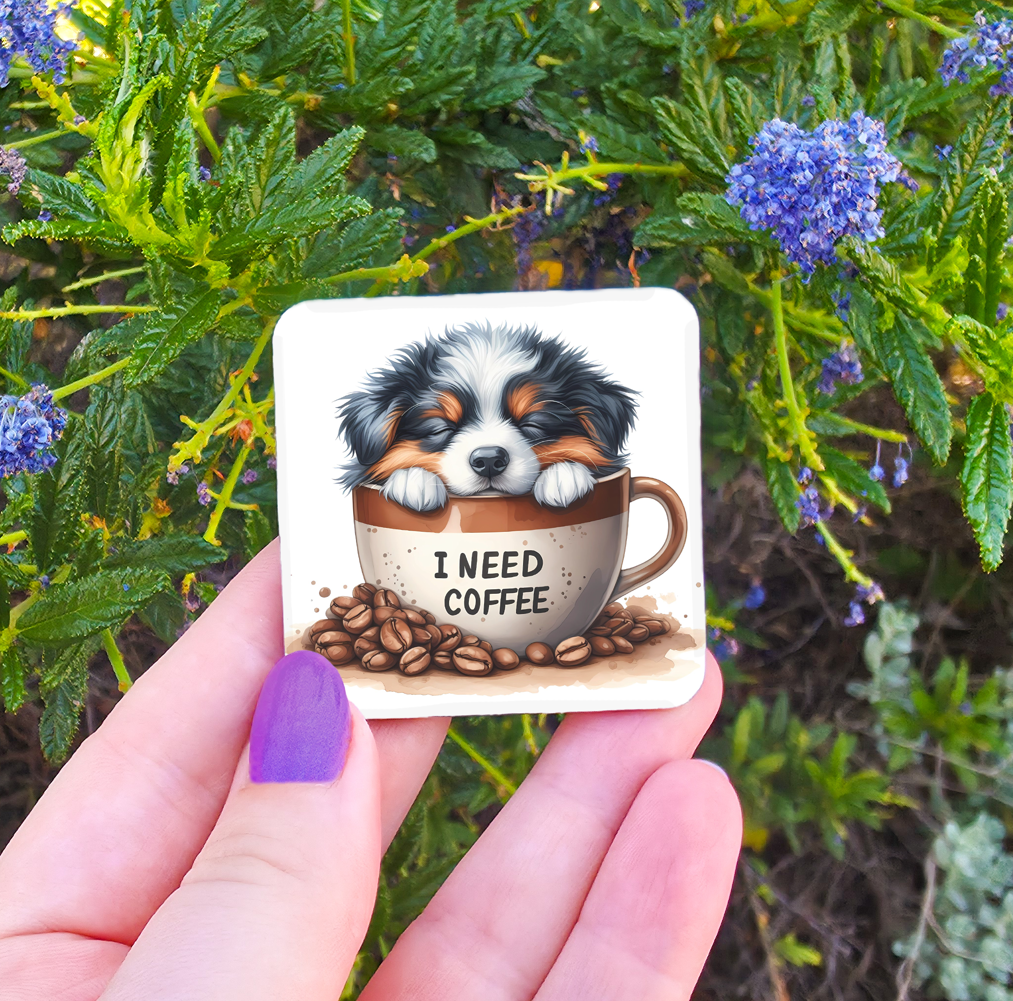 Coffee Related Magnets