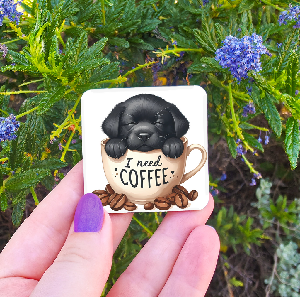 Coffee Related Magnets