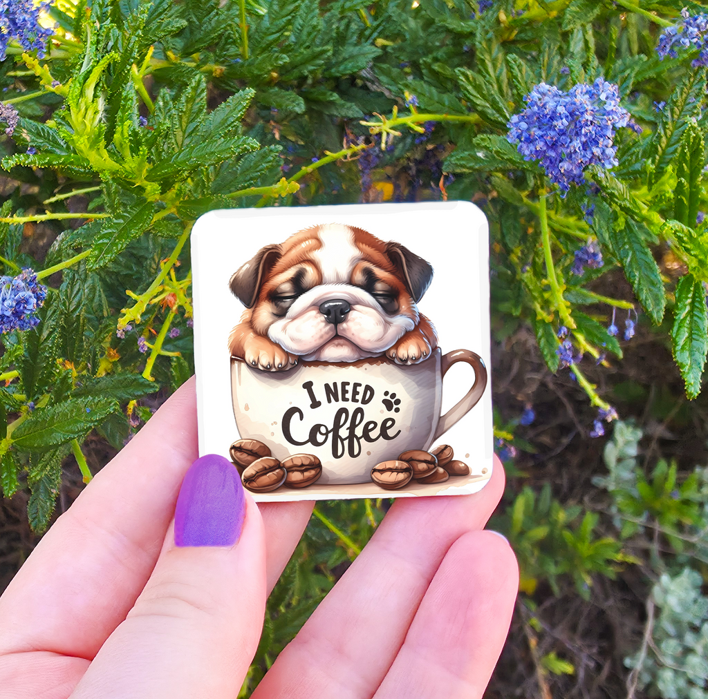Coffee Related Magnets