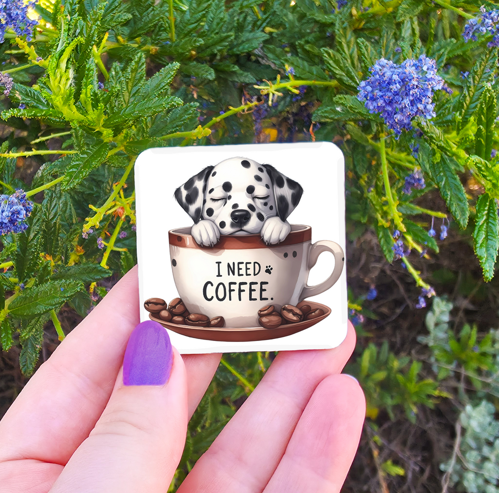 Coffee Related Magnets