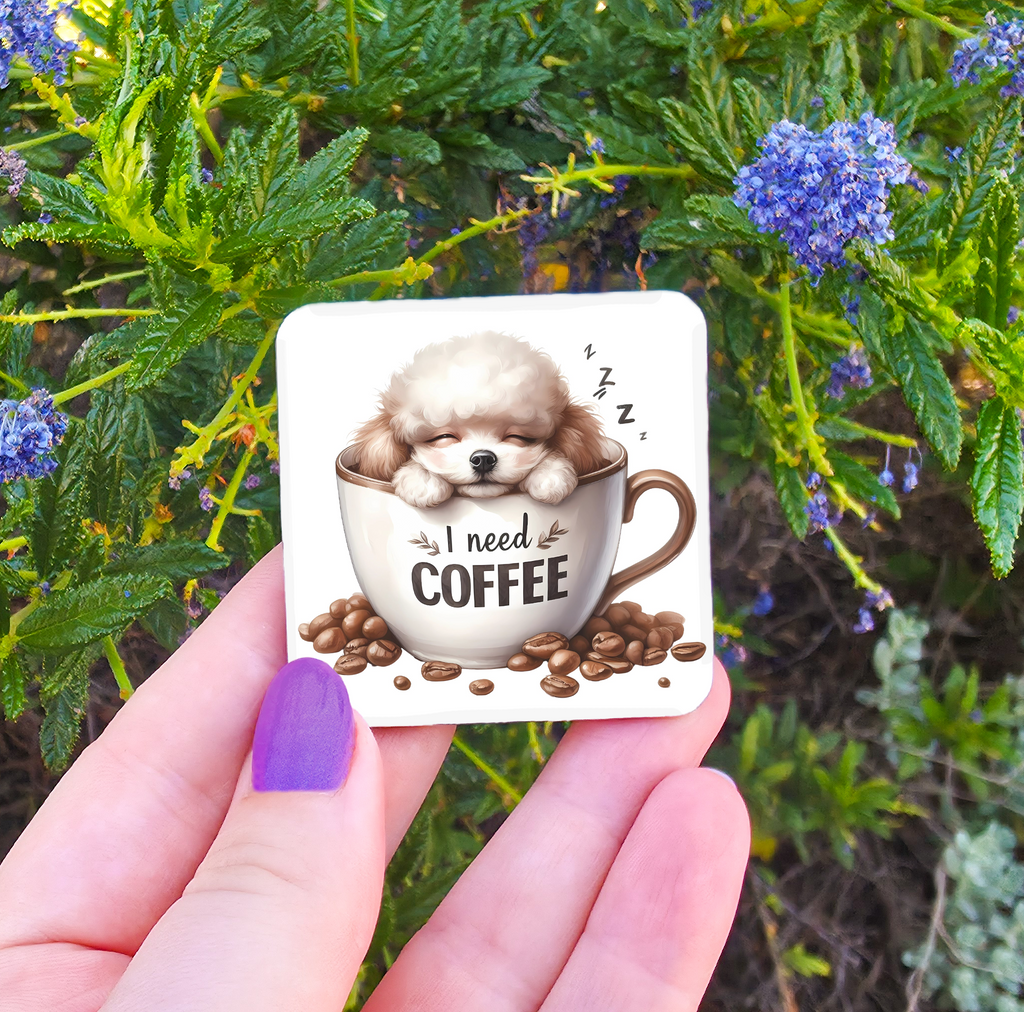 Coffee Related Magnets