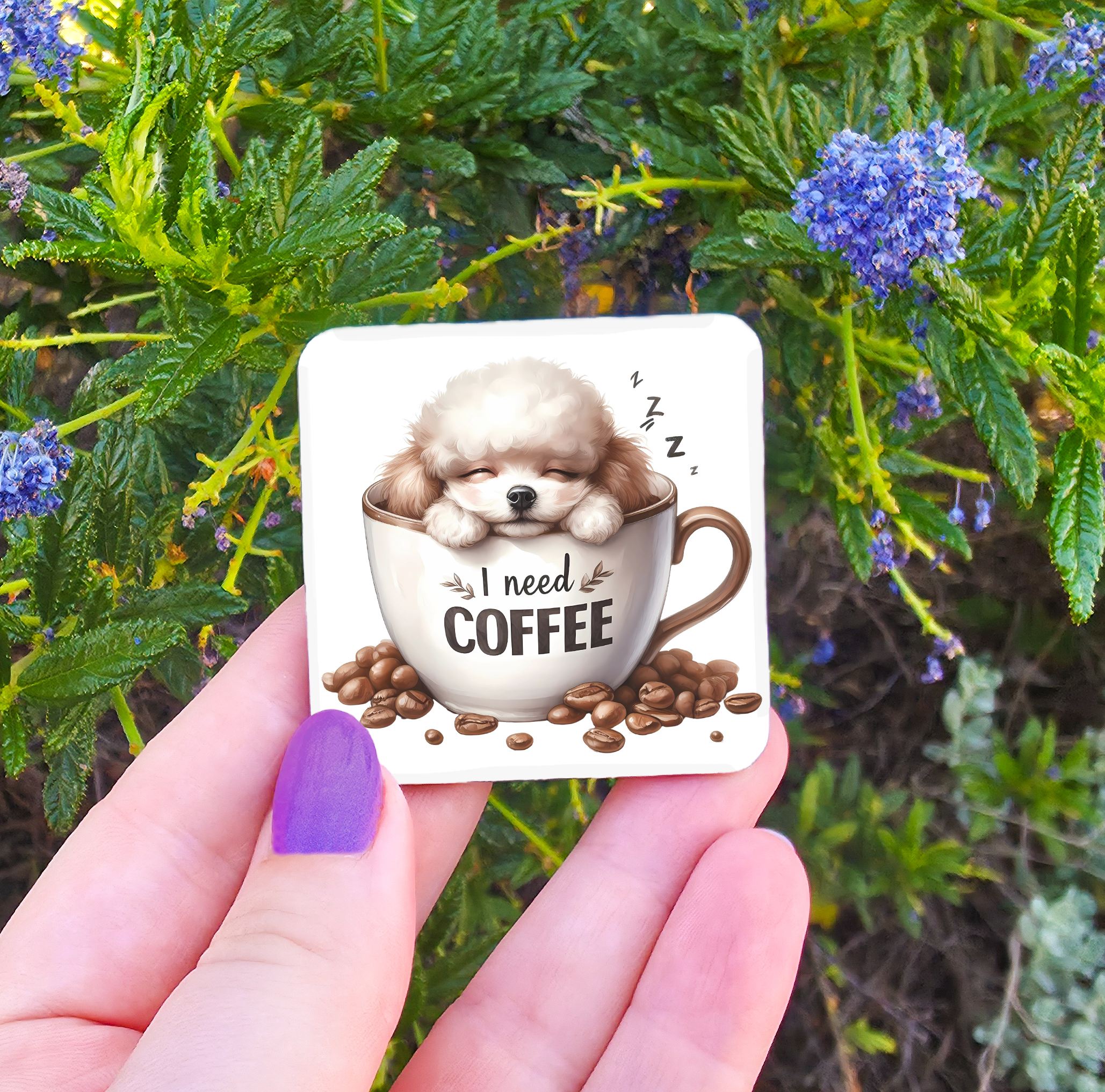 Coffee Related Magnets