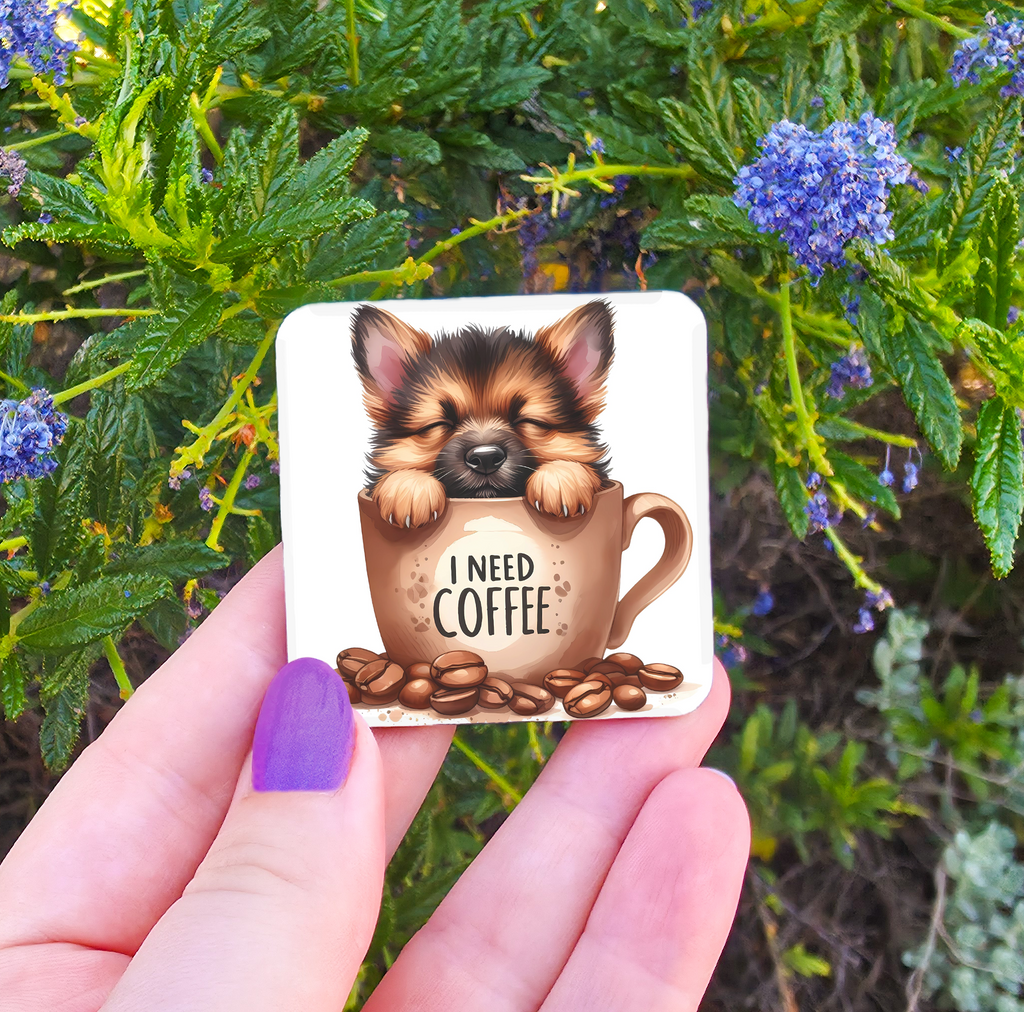 Coffee Related Magnets