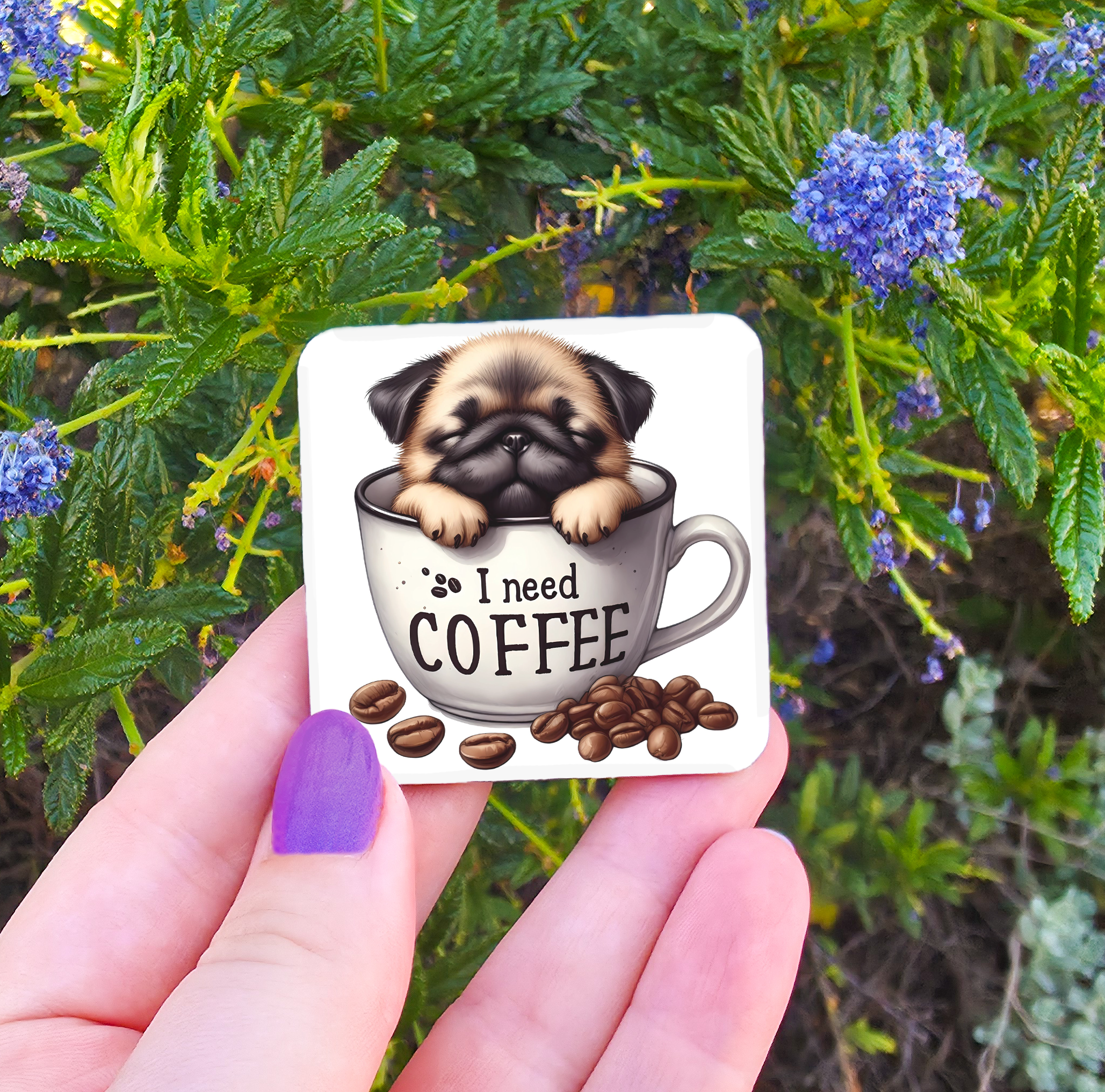 Coffee Related Magnets