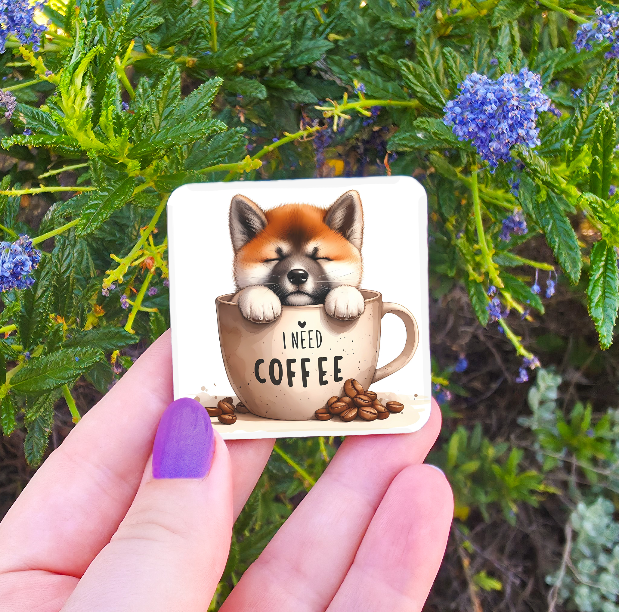 Coffee Related Magnets