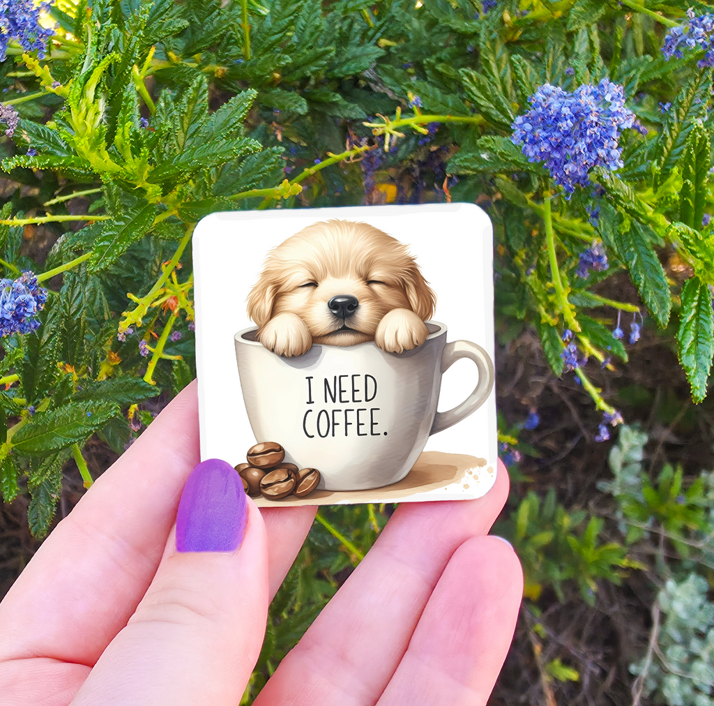 Coffee Related Magnets