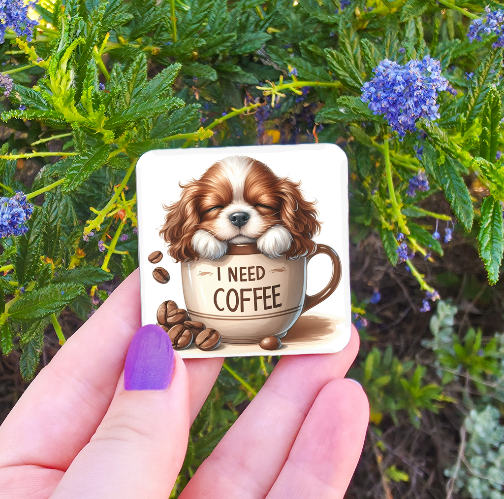Coffee Related Magnets