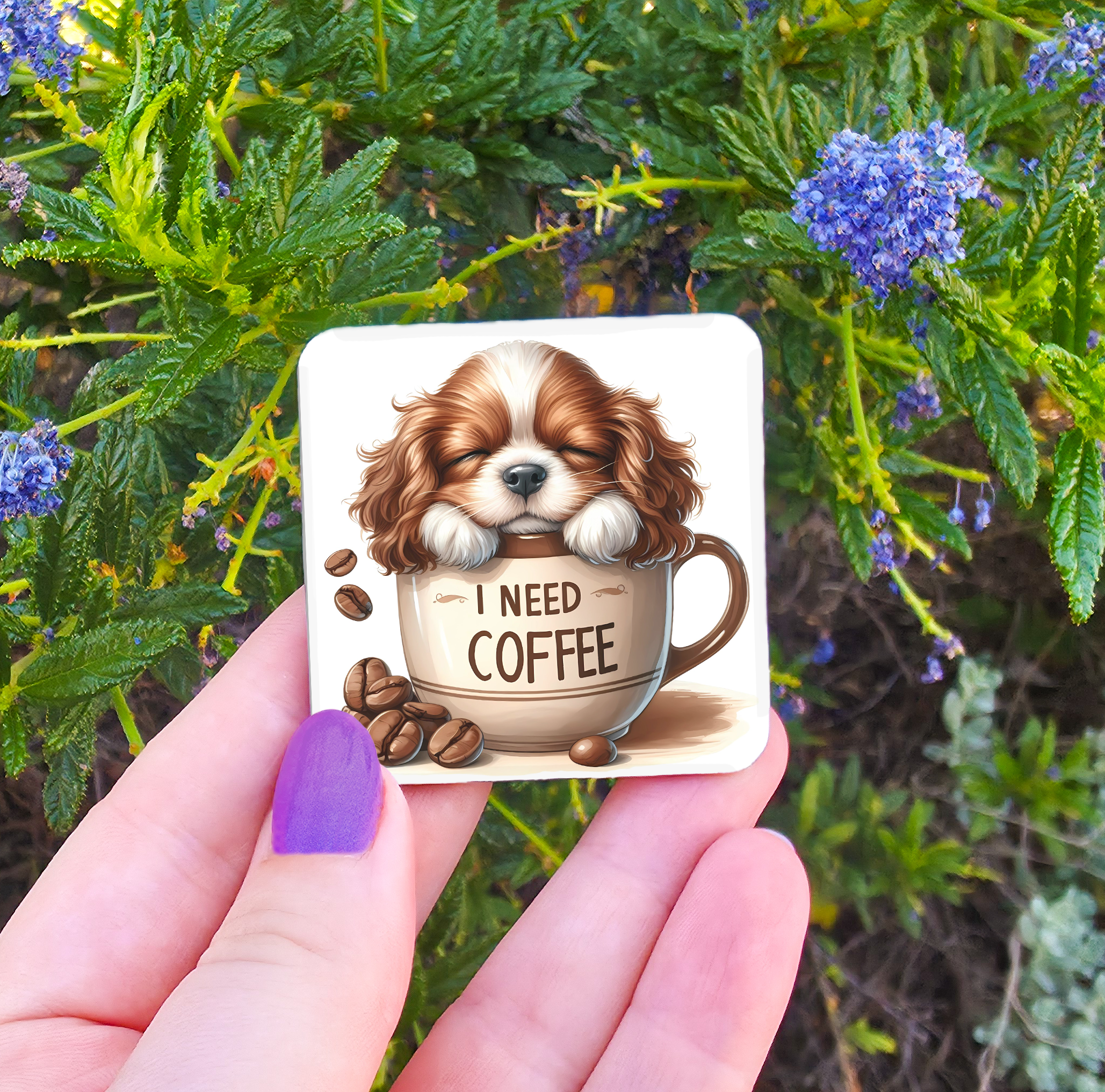 Coffee Related Magnets