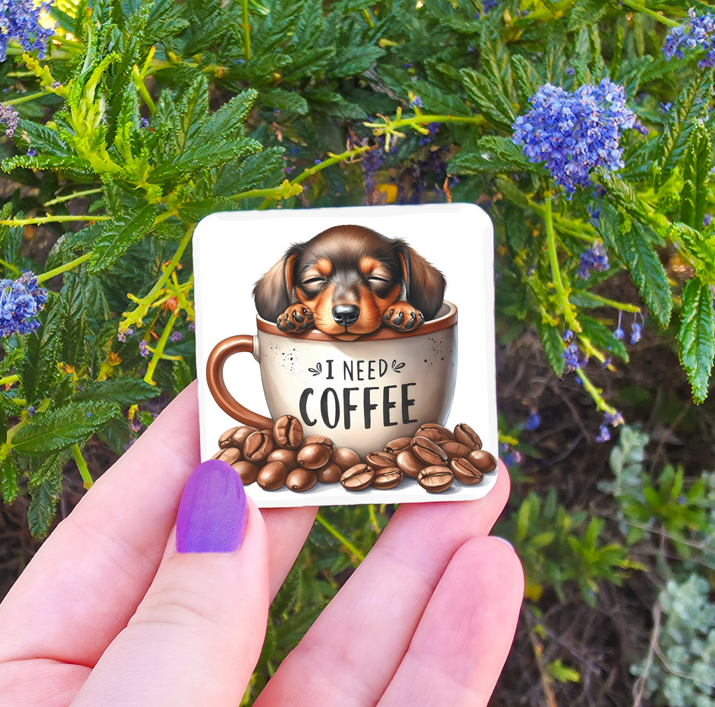 Coffee Related Magnets