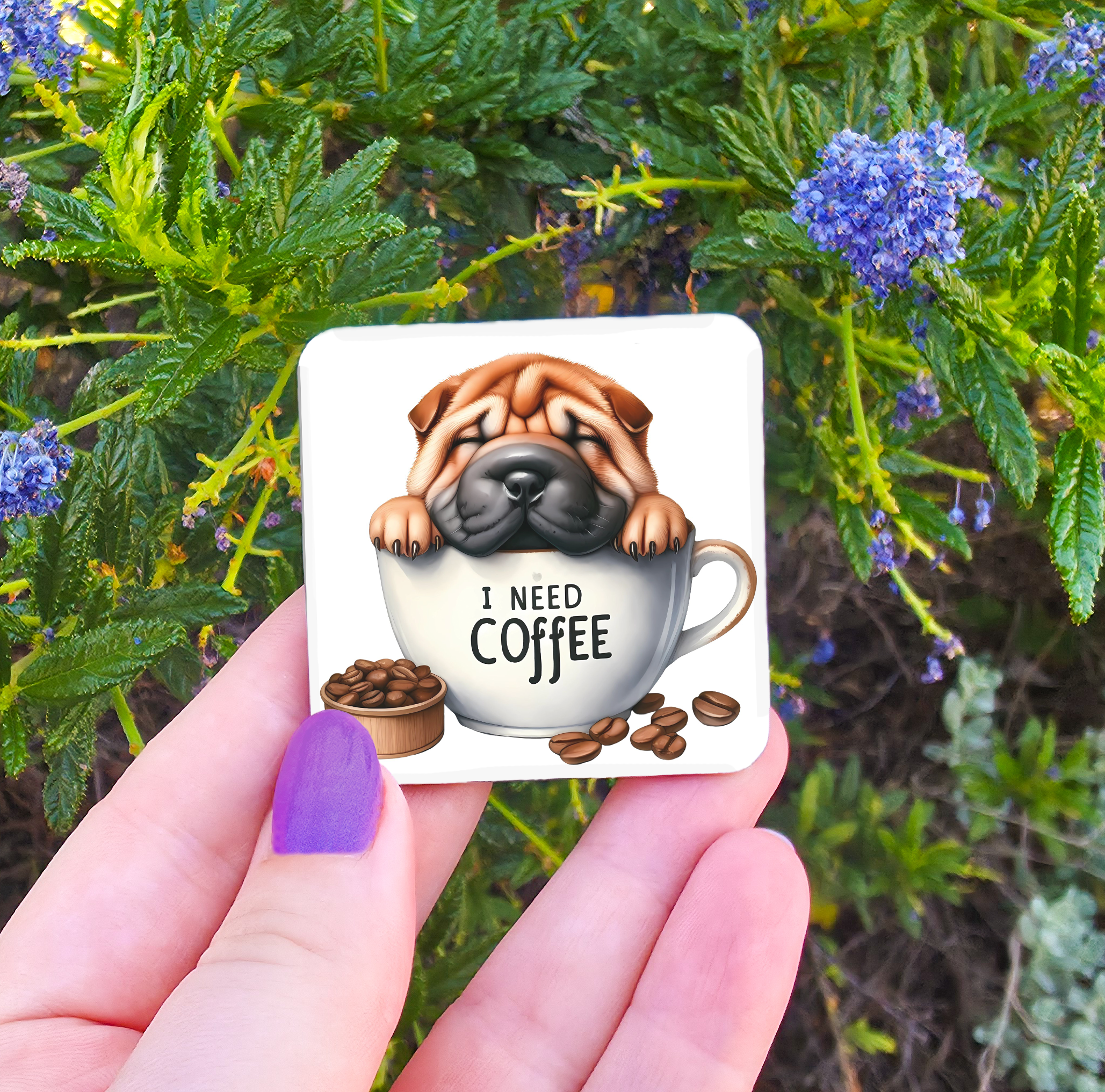 Coffee Related Magnets