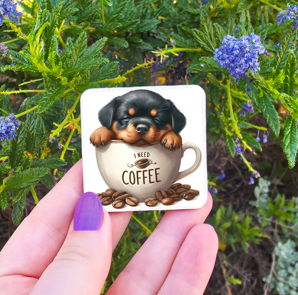 Coffee Related Magnets