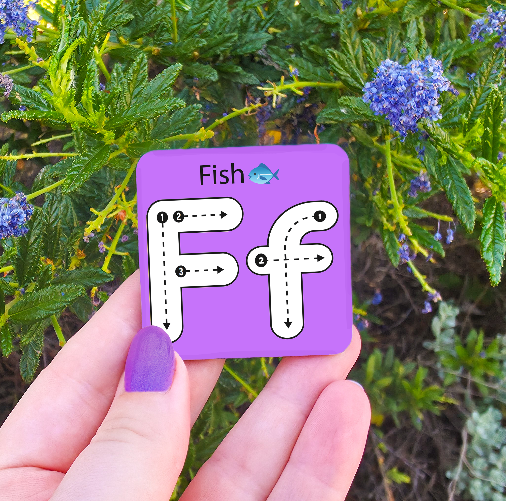 Learn to Write - Alphabet & Numbers