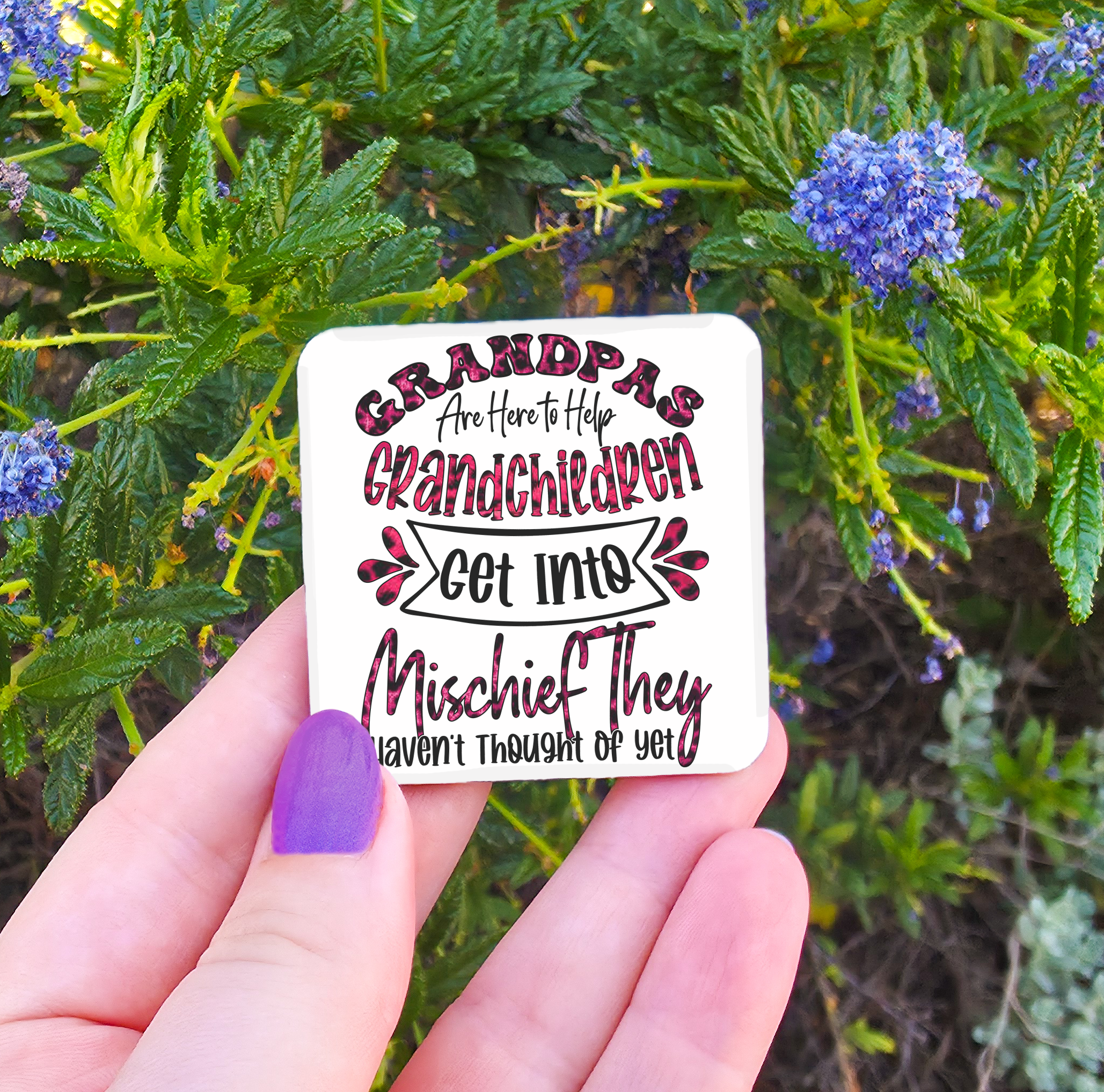 Male Titles (Brother/Uncle/Pop/Poppy/Grandpa etc) Related