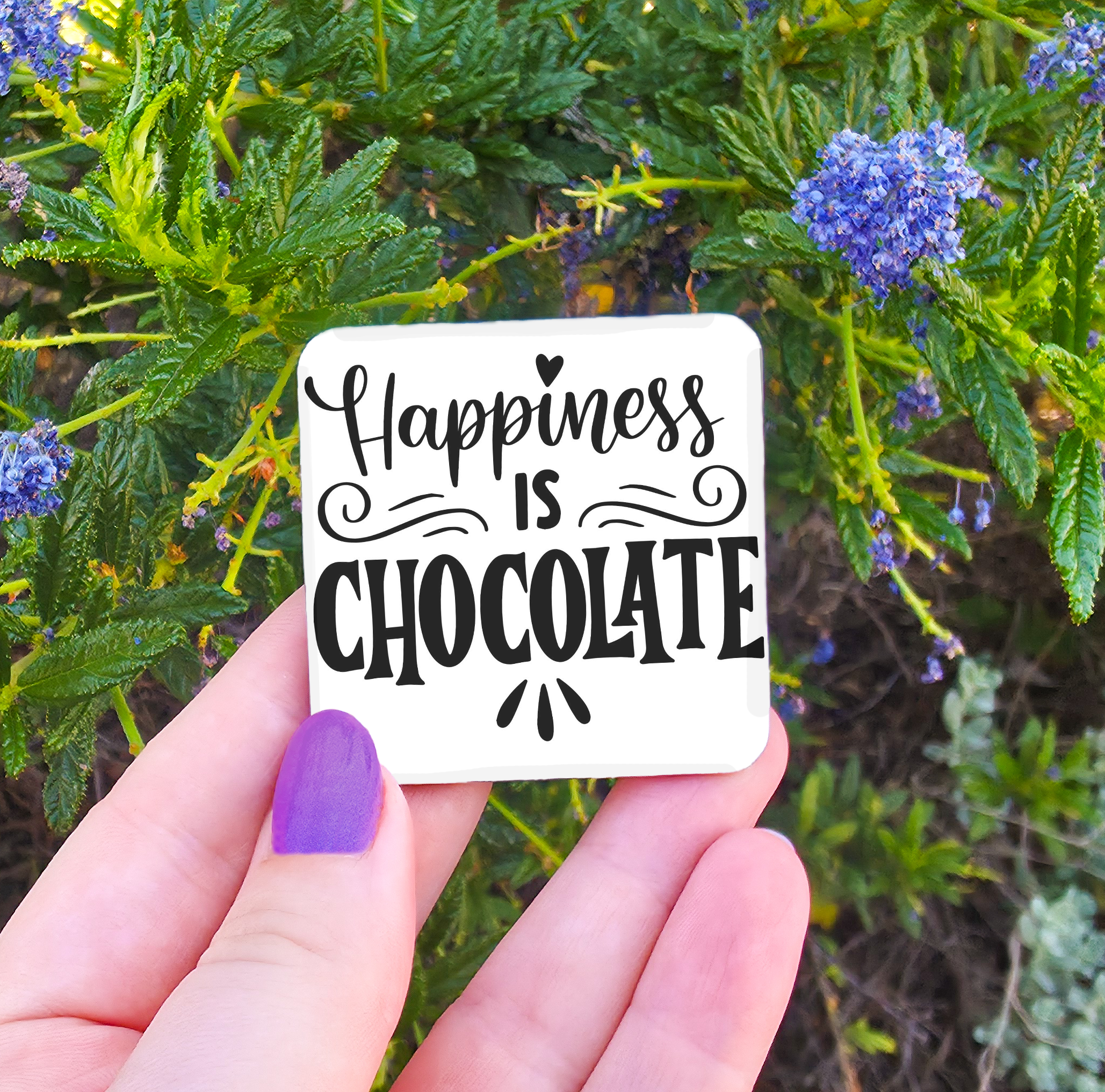 Kitchen/Food Related Magnets