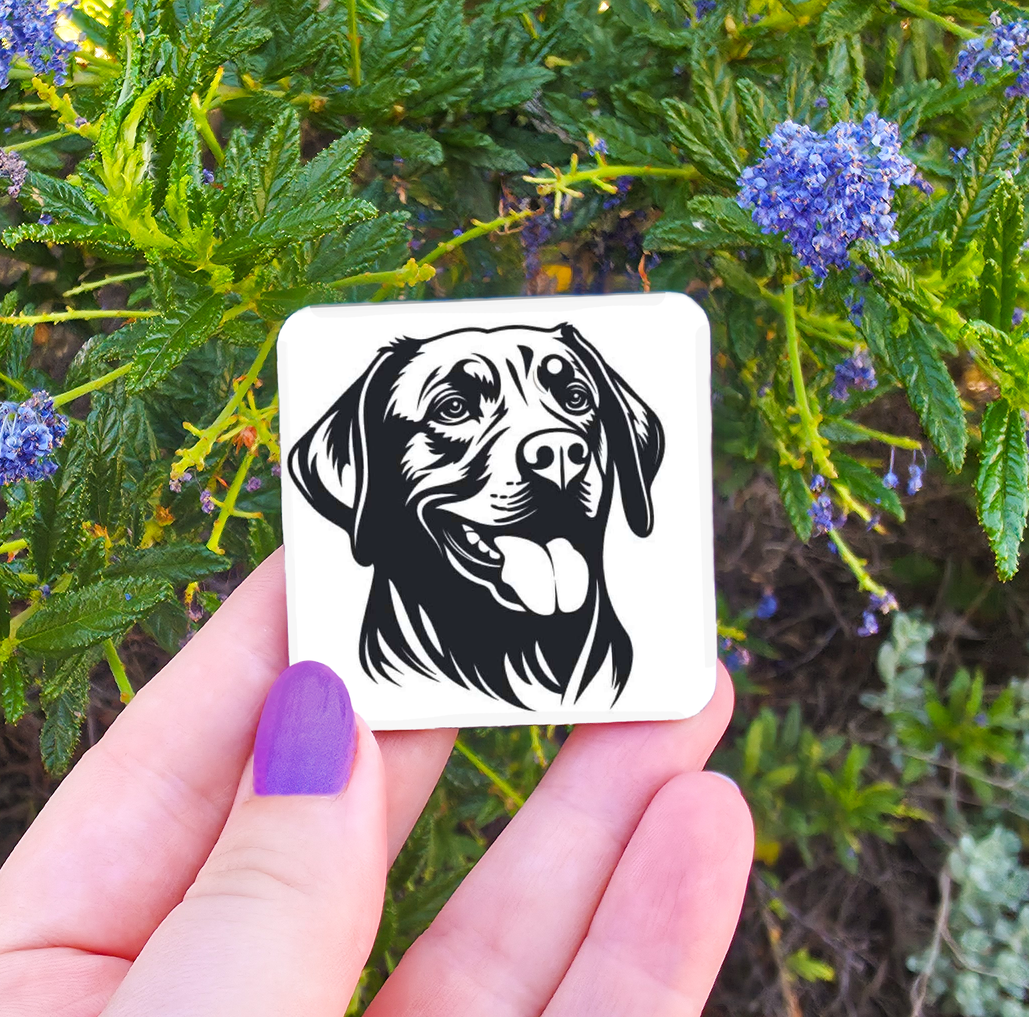 Animal Related Magnets