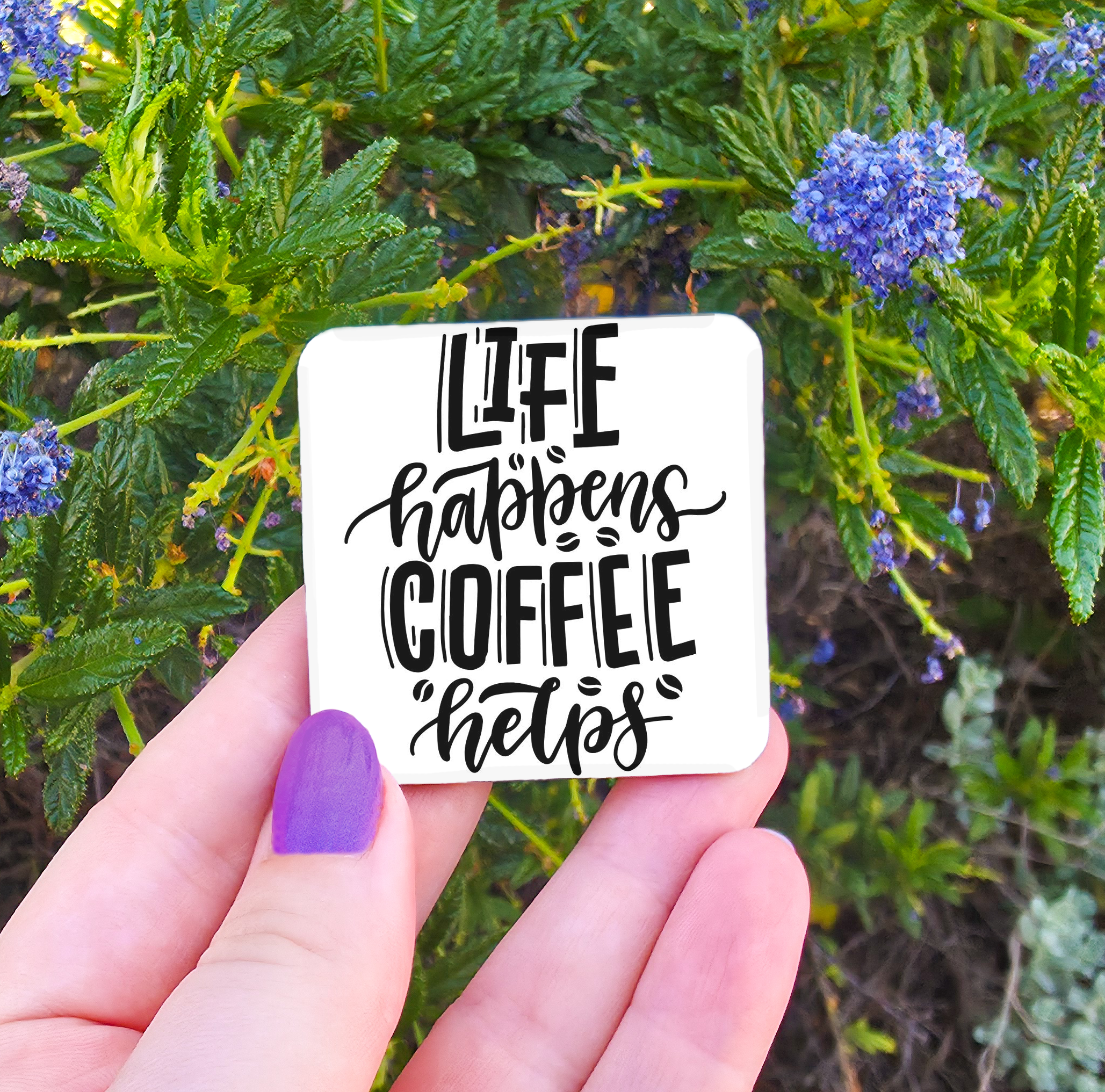 Coffee Related Magnets