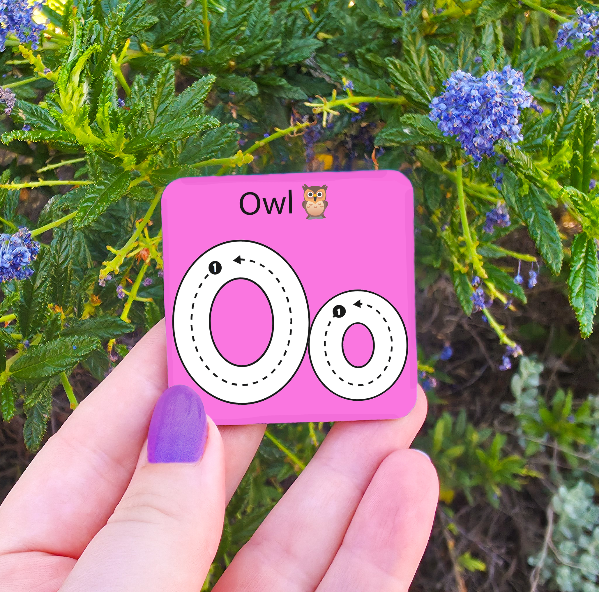 Learn to Write - Alphabet & Numbers