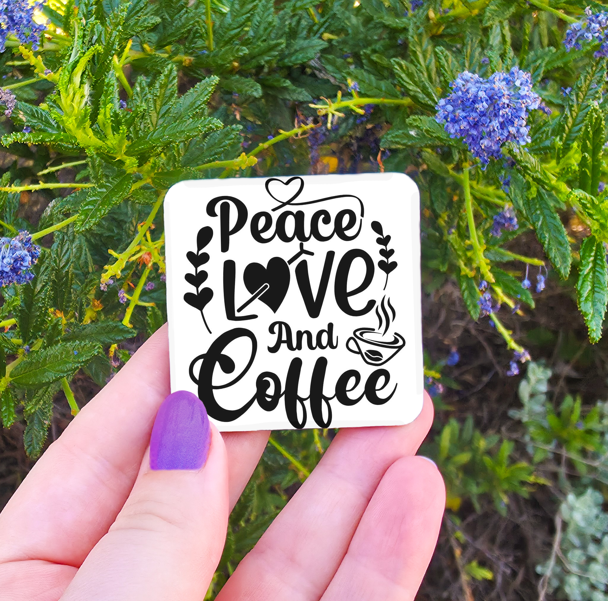 Coffee Related Magnets