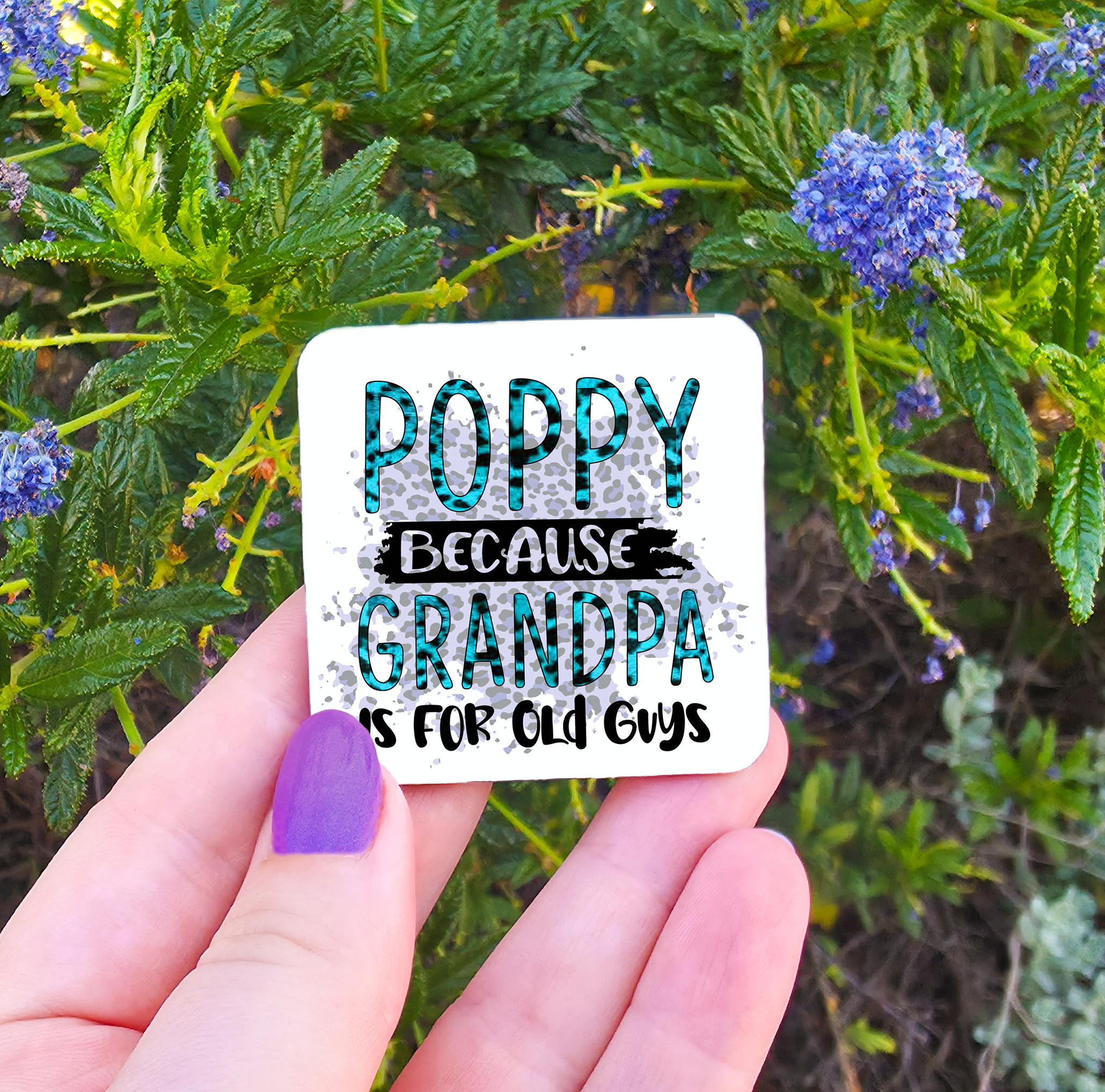 Male Titles (Brother/Uncle/Pop/Poppy/Grandpa etc) Related