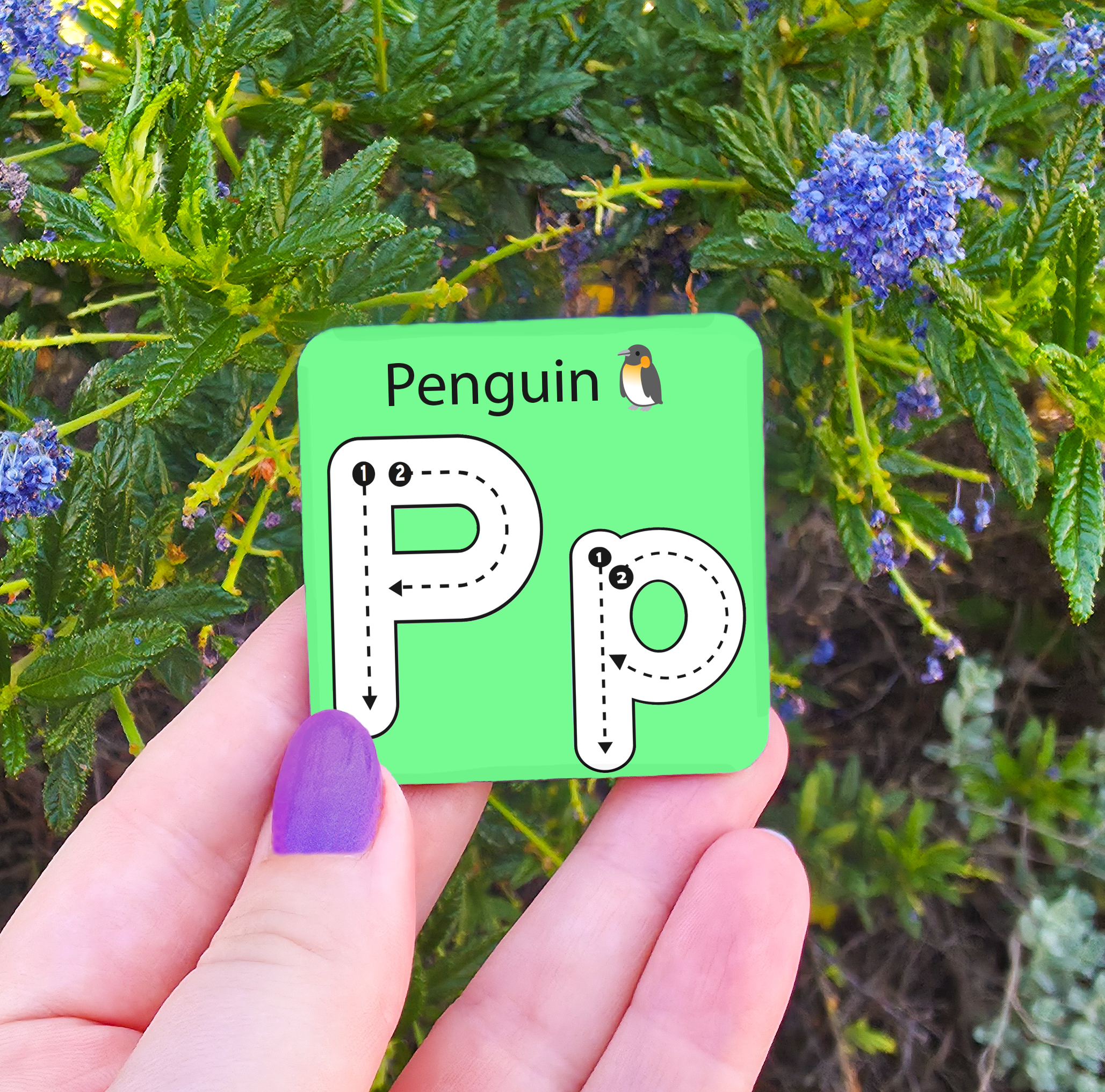 Learn to Write - Alphabet & Numbers